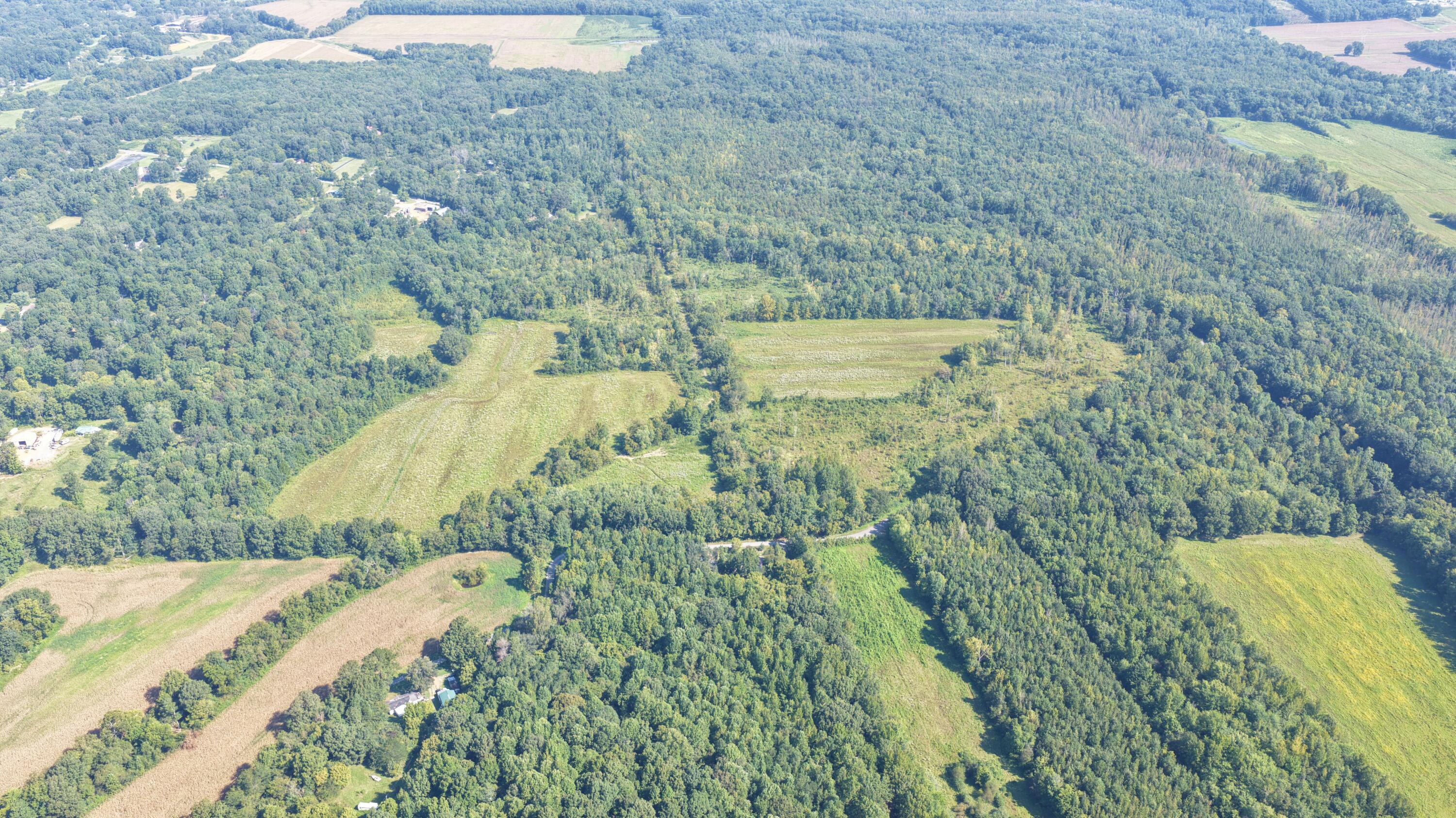 0 Dogtown Road Benton, KY 42025 - Photo 14 of 18 DJI_20260902131956_0021_D