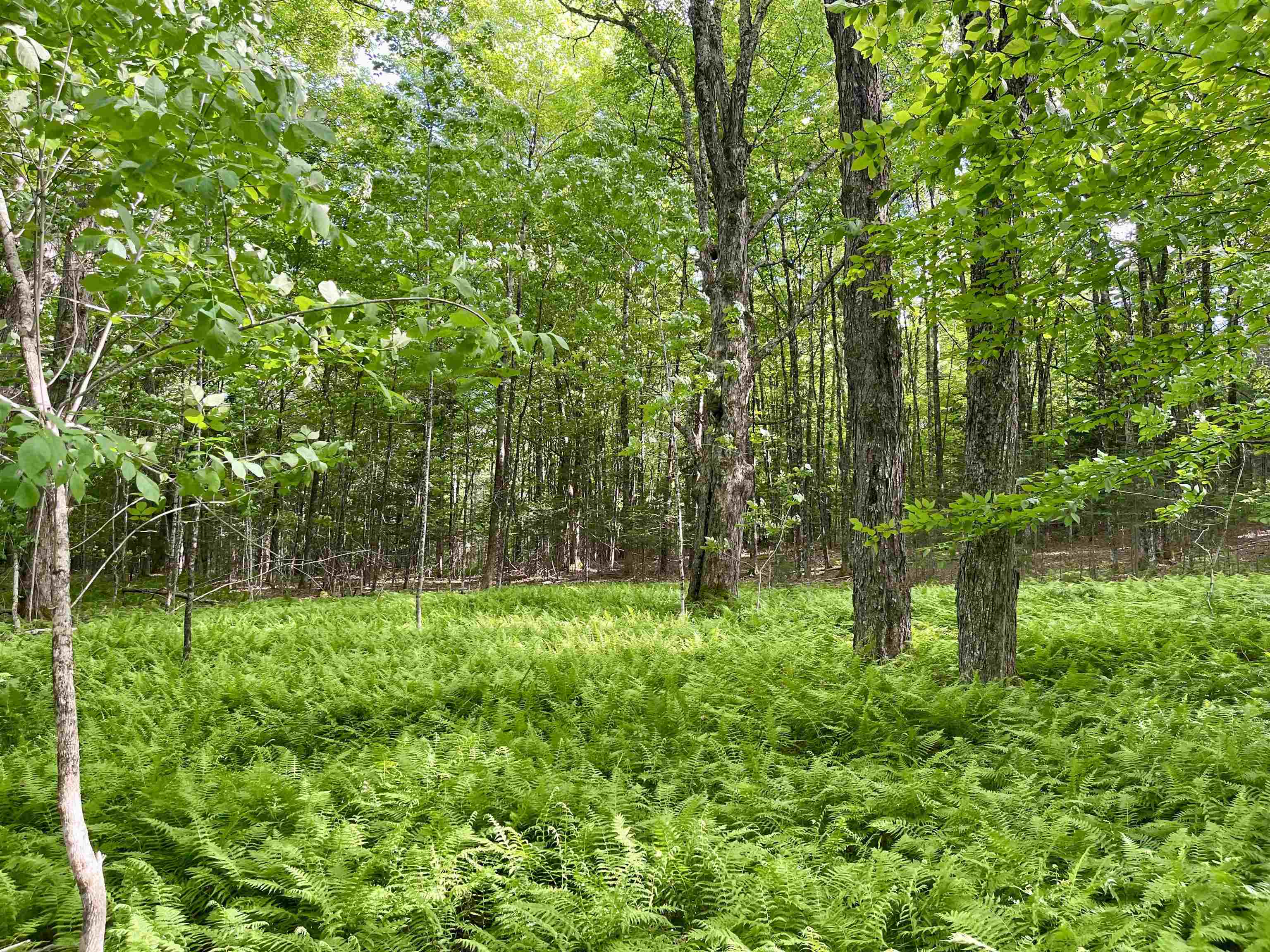 0 Old Farm Road West Burke, VT 05871 - Photo 13 of 14