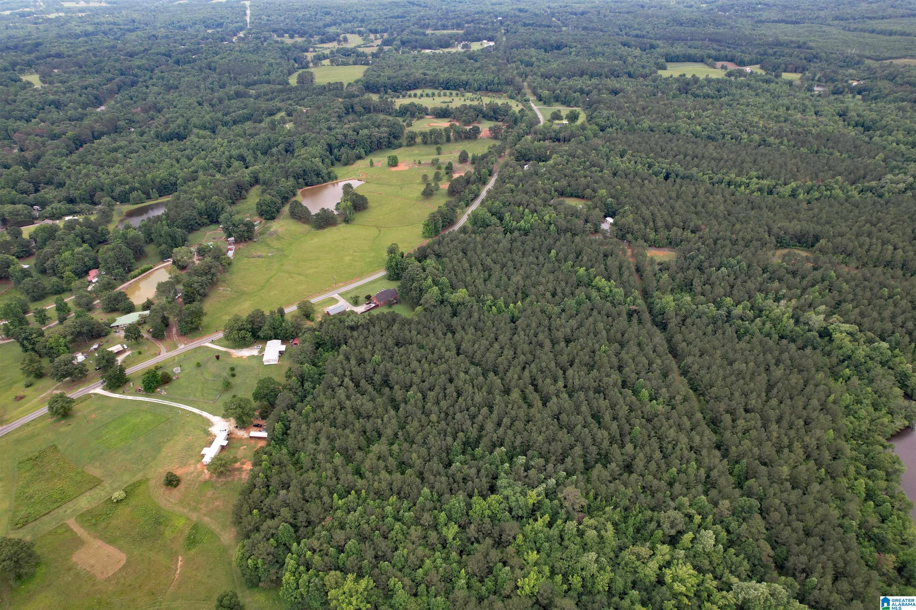 0 Houston Road Sylacauga, AL 35151 - Photo 17 of 32