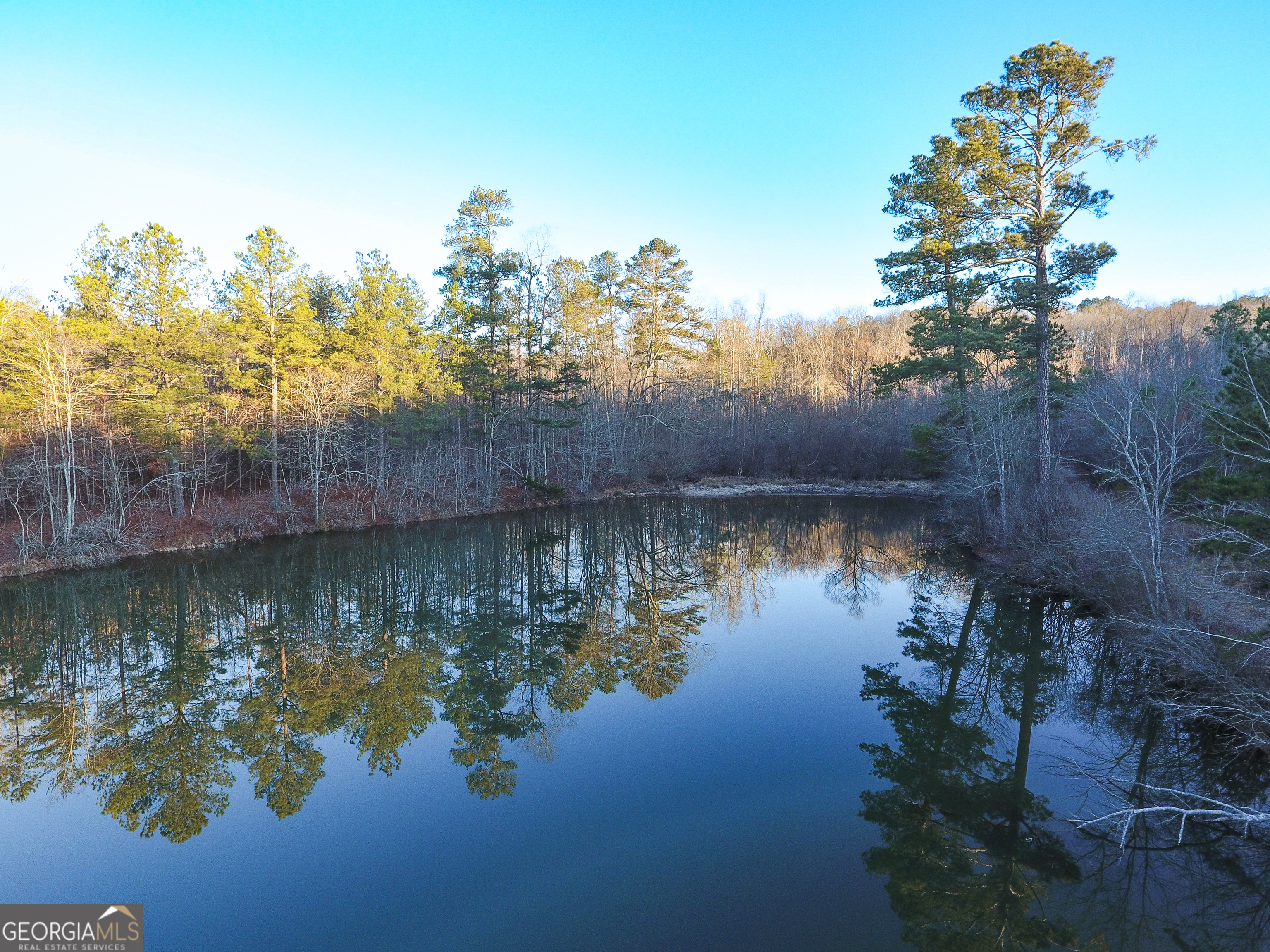 0 Wildcat Road Buchanan, GA 30113 - Photo 11 of 49 a view of a lake with a house in the background