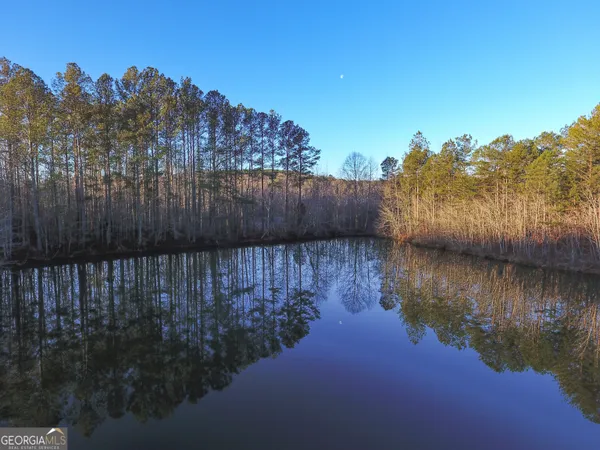 a view of a lake from a yard