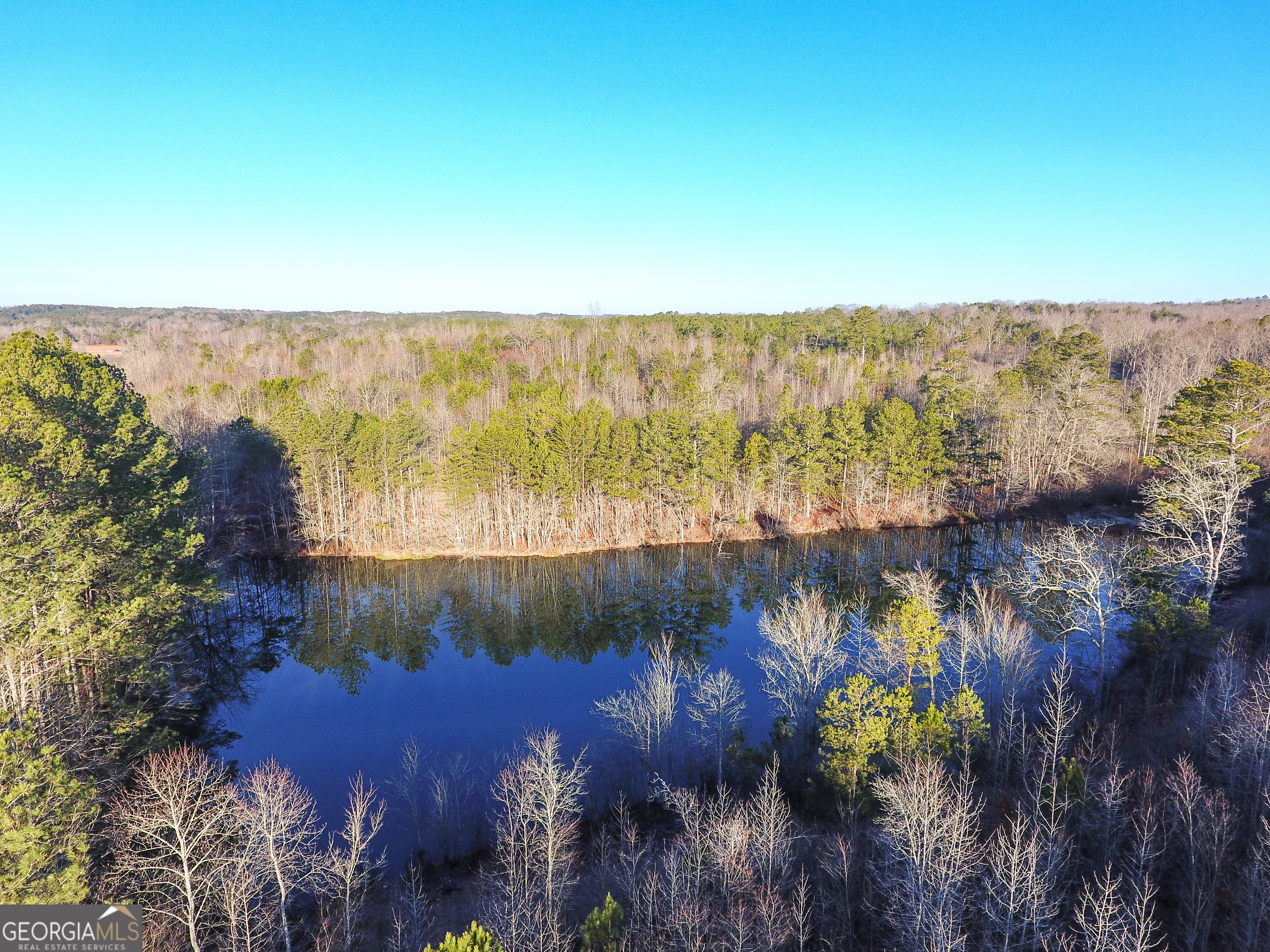 0 Wildcat Road Buchanan, GA 30113 - Photo 13 of 49 a view of a lake with a mountain in the background