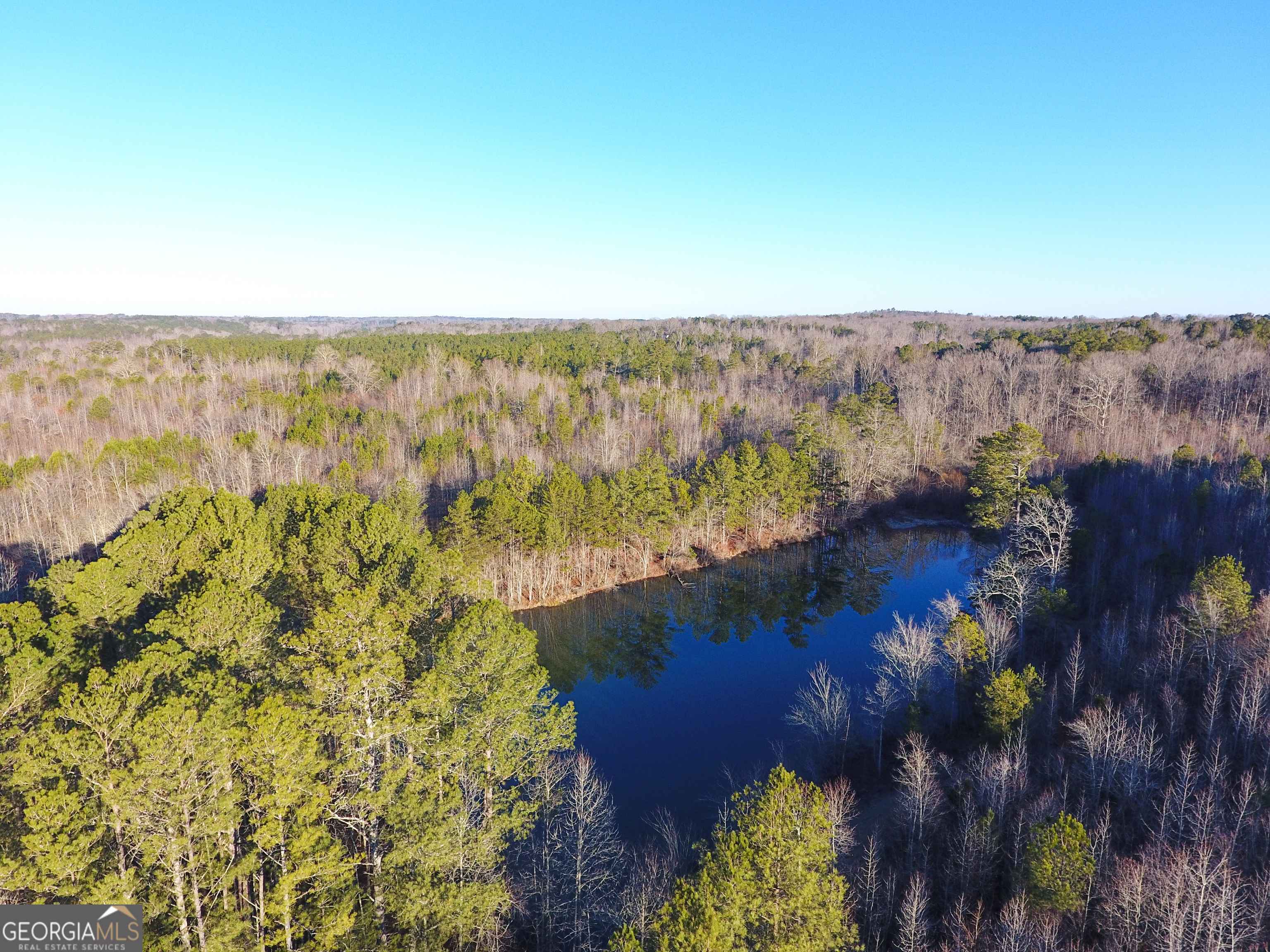 0 Wildcat Road Buchanan, GA 30113 - Photo 15 of 49 a view of a lake with a mountain