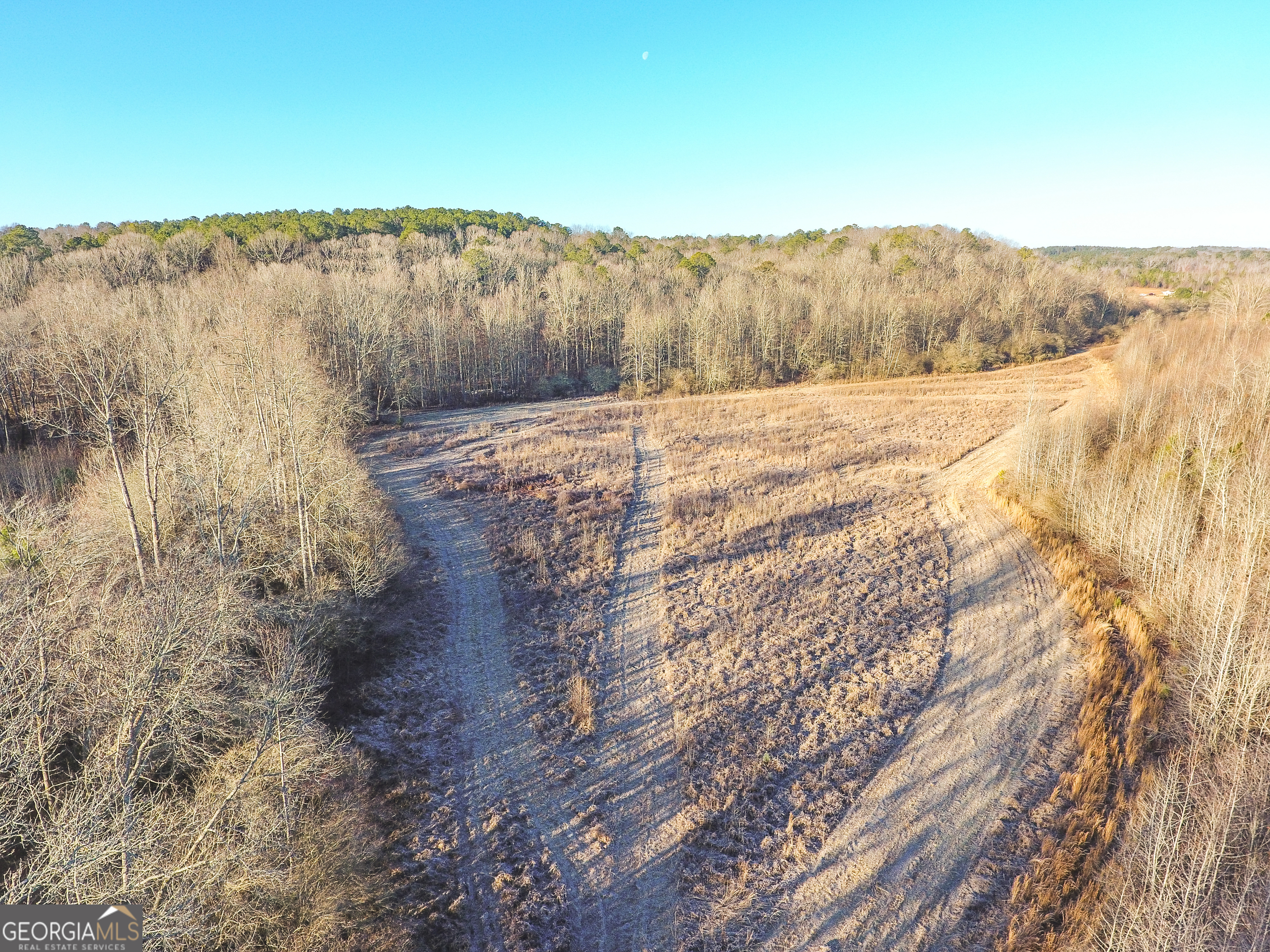 0 Wildcat Road Buchanan, GA 30113 - Photo 16 of 49 a view of a dry yard with wooden fence