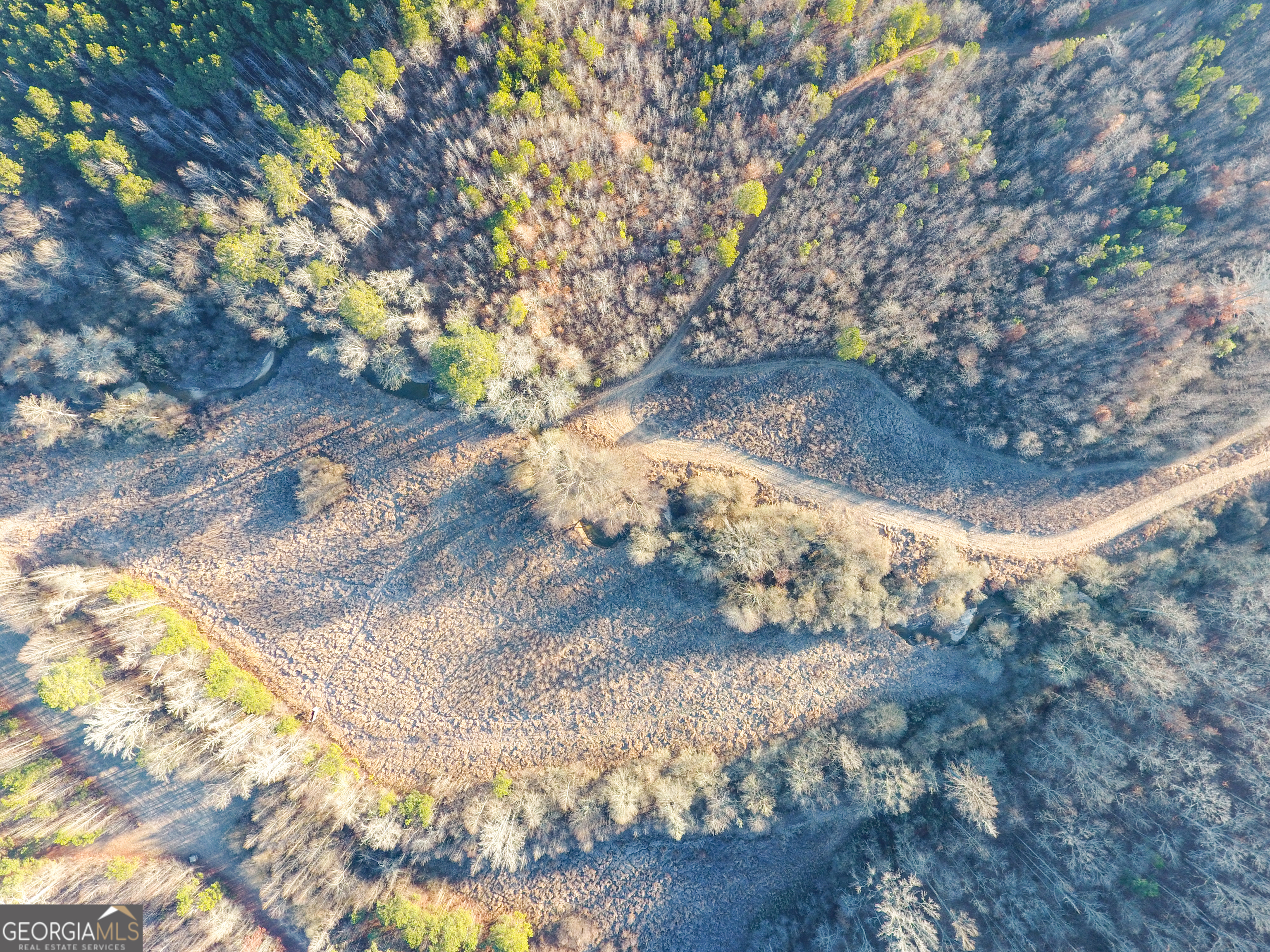 0 Wildcat Road Buchanan, GA 30113 - Photo 17 of 49 a view of a small yard with wooden fence