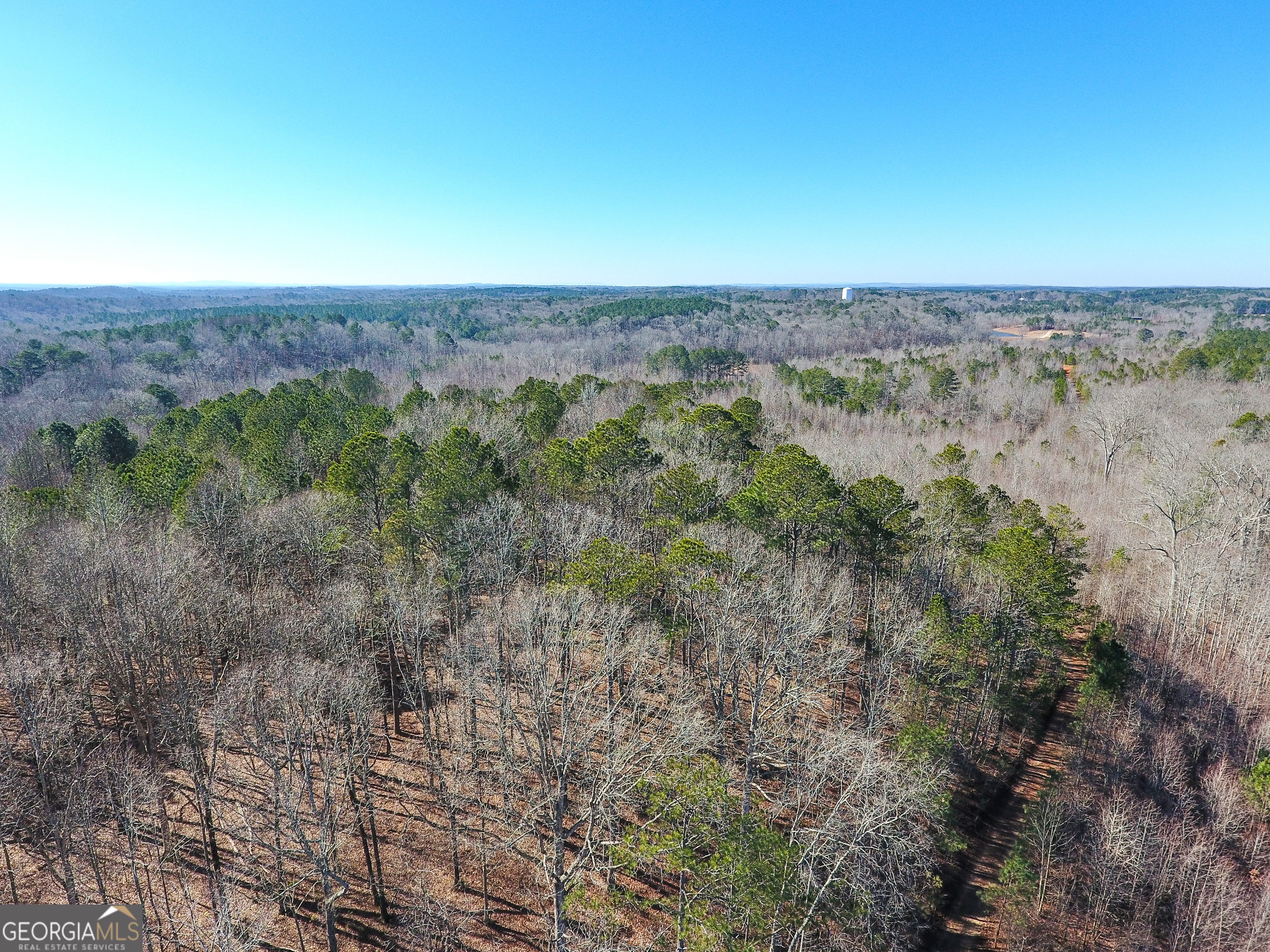 0 Wildcat Road Buchanan, GA 30113 - Photo 22 of 49 an aerial view of beach and yard