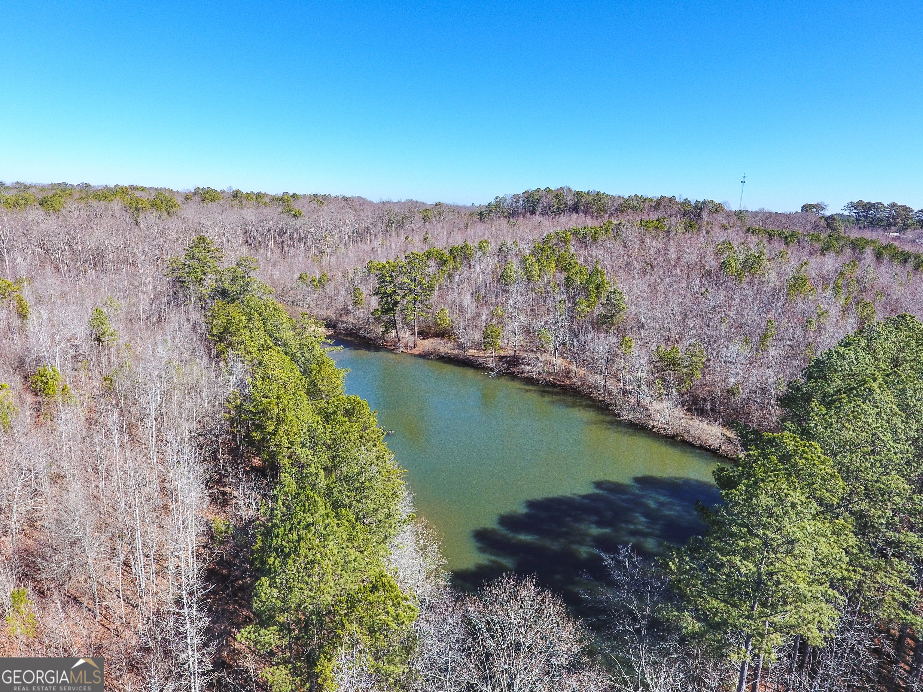 0 Wildcat Road Buchanan, GA 30113 - Photo 23 of 49 an aerial view of a golf course with green landscape