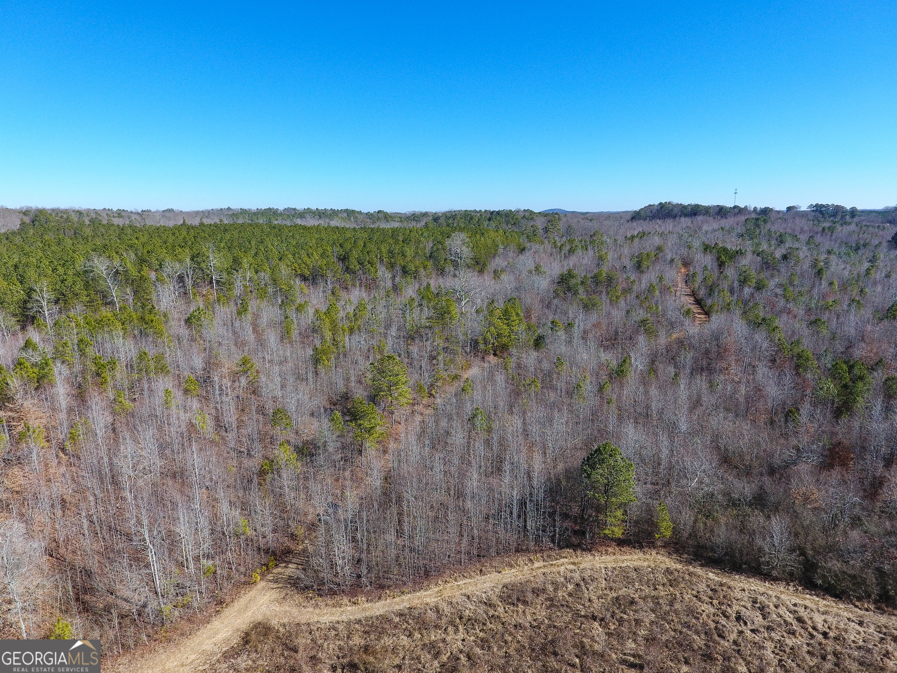 0 Wildcat Road Buchanan, GA 30113 - Photo 24 of 49 a view of a yard with wooden fence