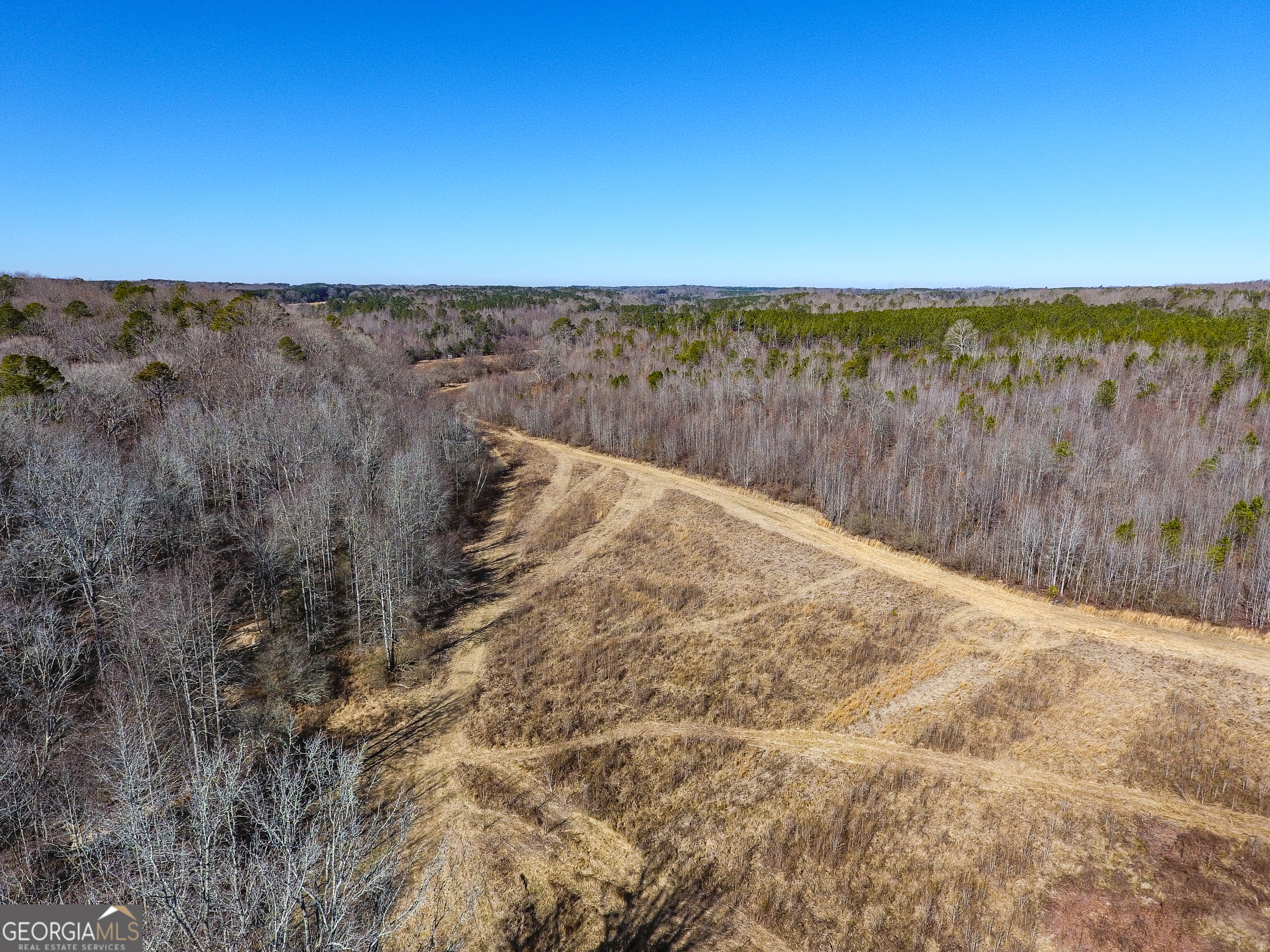 0 Wildcat Road Buchanan, GA 30113 - Photo 25 of 49