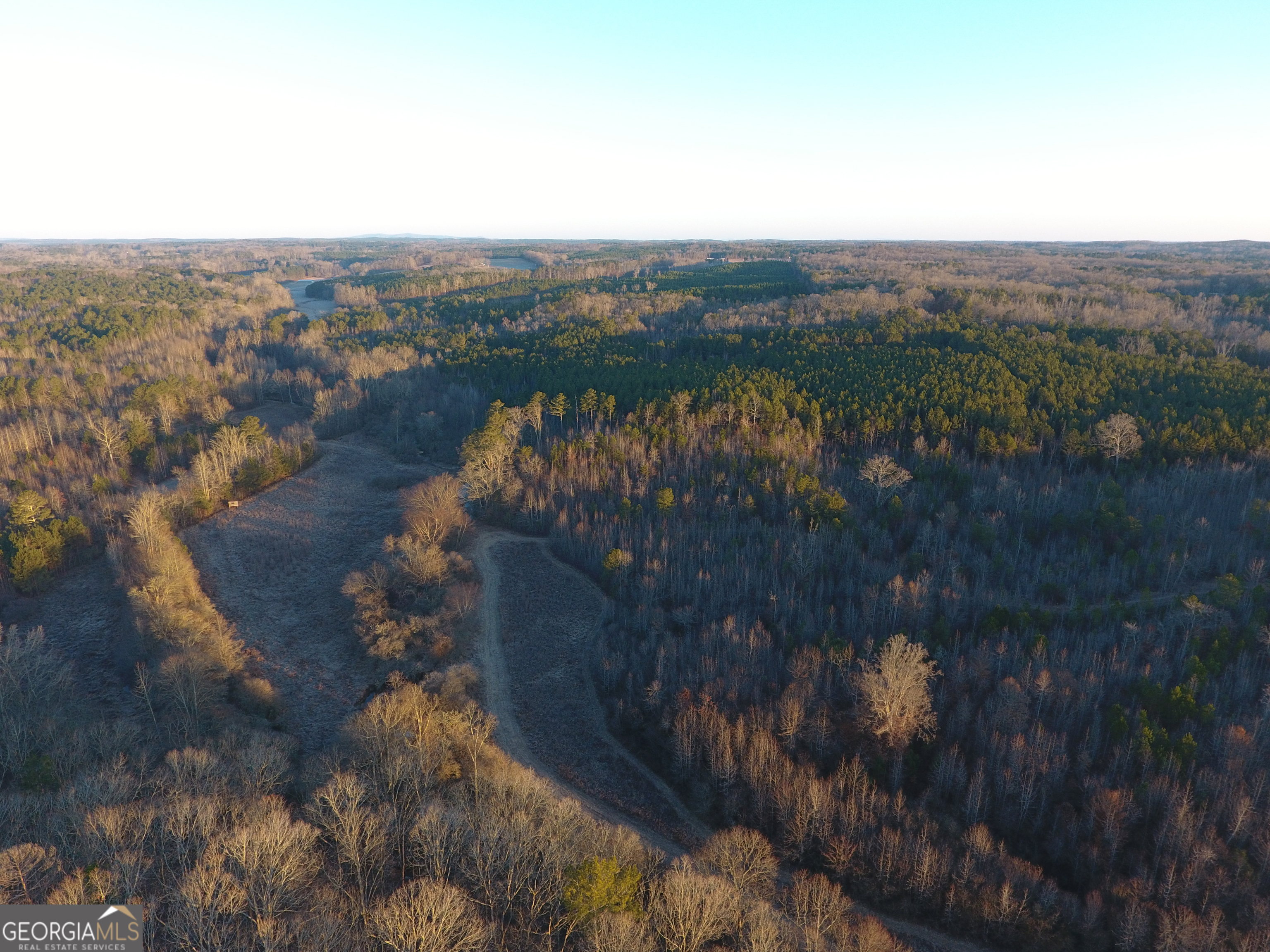 0 Wildcat Road Buchanan, GA 30113 - Photo 28 of 49 a view of city and river