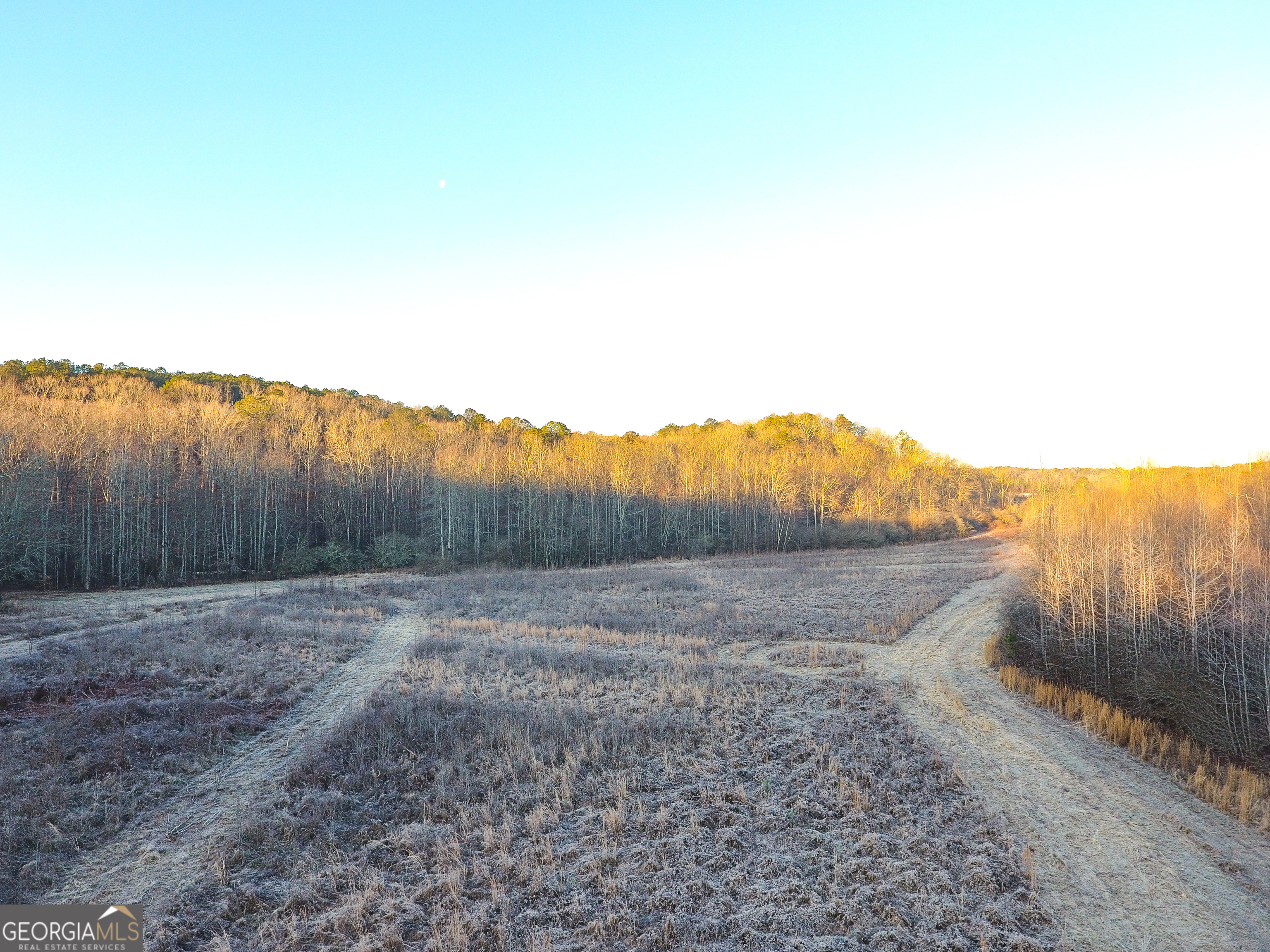 0 Wildcat Road Buchanan, GA 30113 - Photo 30 of 49 a view of an outdoor space with mountain view