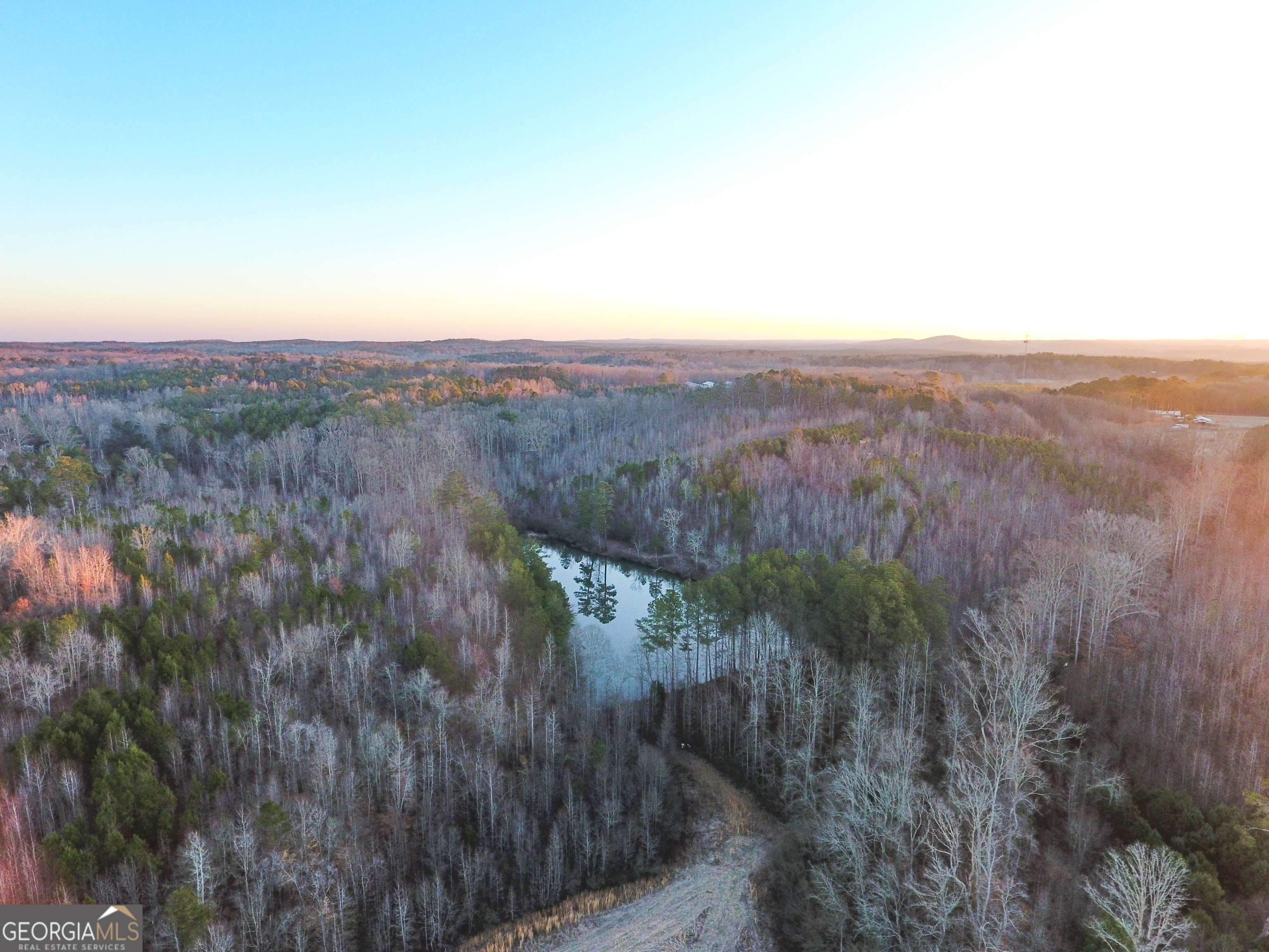 0 Wildcat Road Buchanan, GA 30113 - Photo 3 of 49 a view of a lush green forest with trees in the background