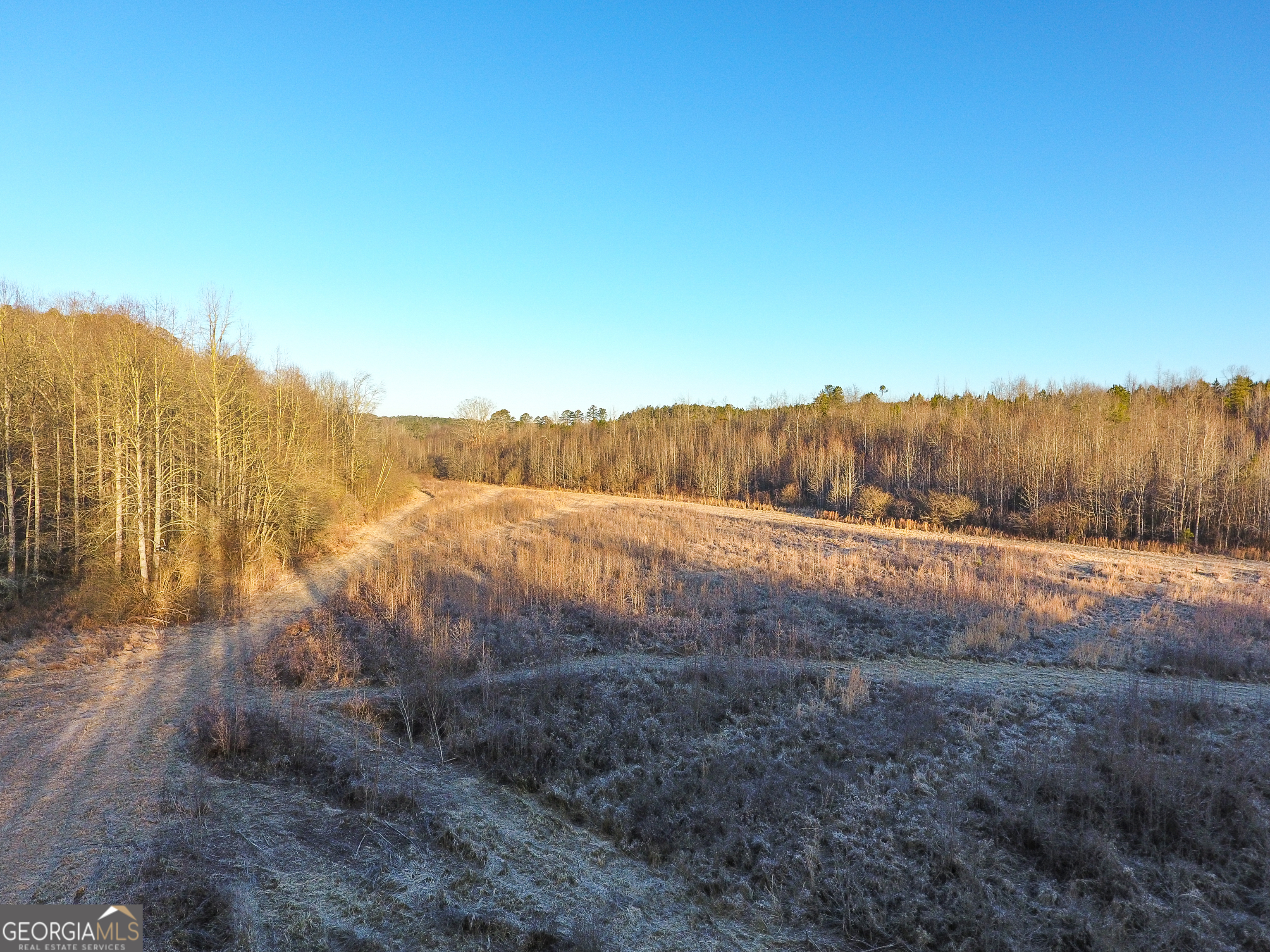 0 Wildcat Road Buchanan, GA 30113 - Photo 32 of 49 a view of a yard