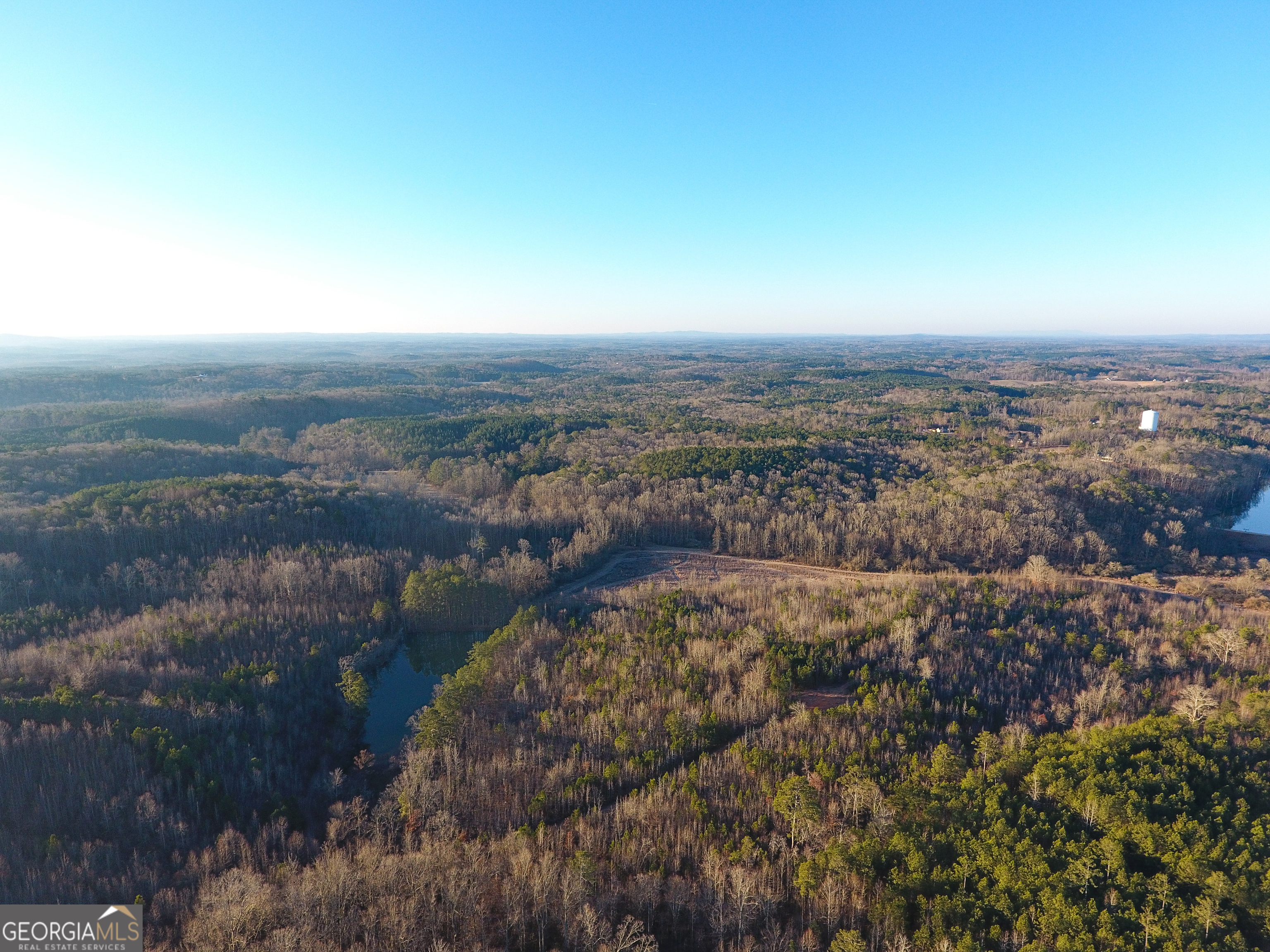 0 Wildcat Road Buchanan, GA 30113 - Photo 34 of 49 a view of a city