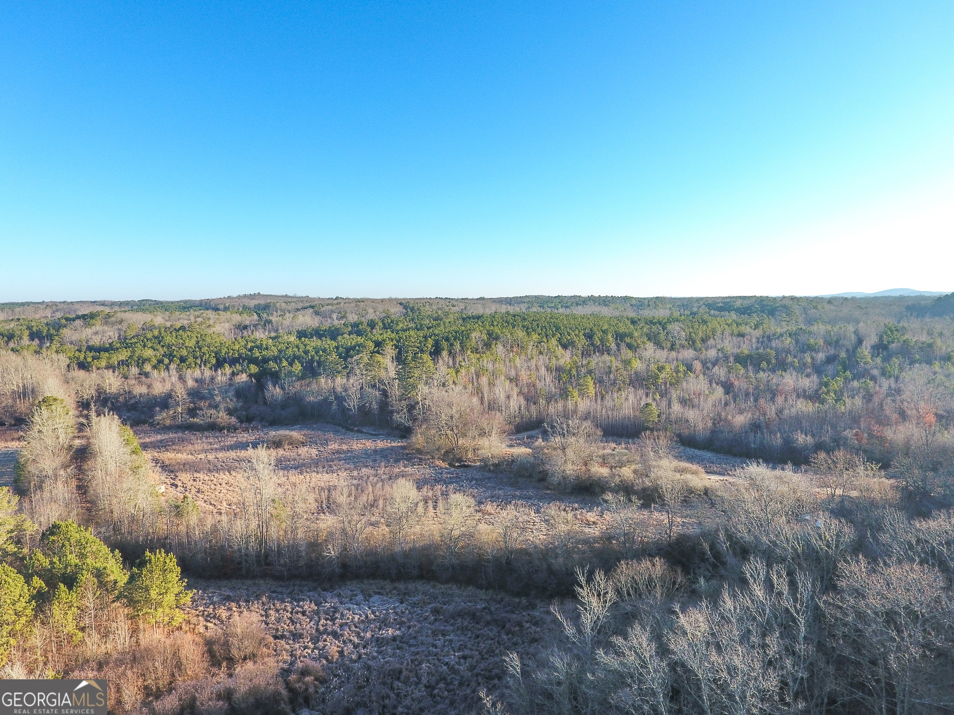 0 Wildcat Road Buchanan, GA 30113 - Photo 36 of 49