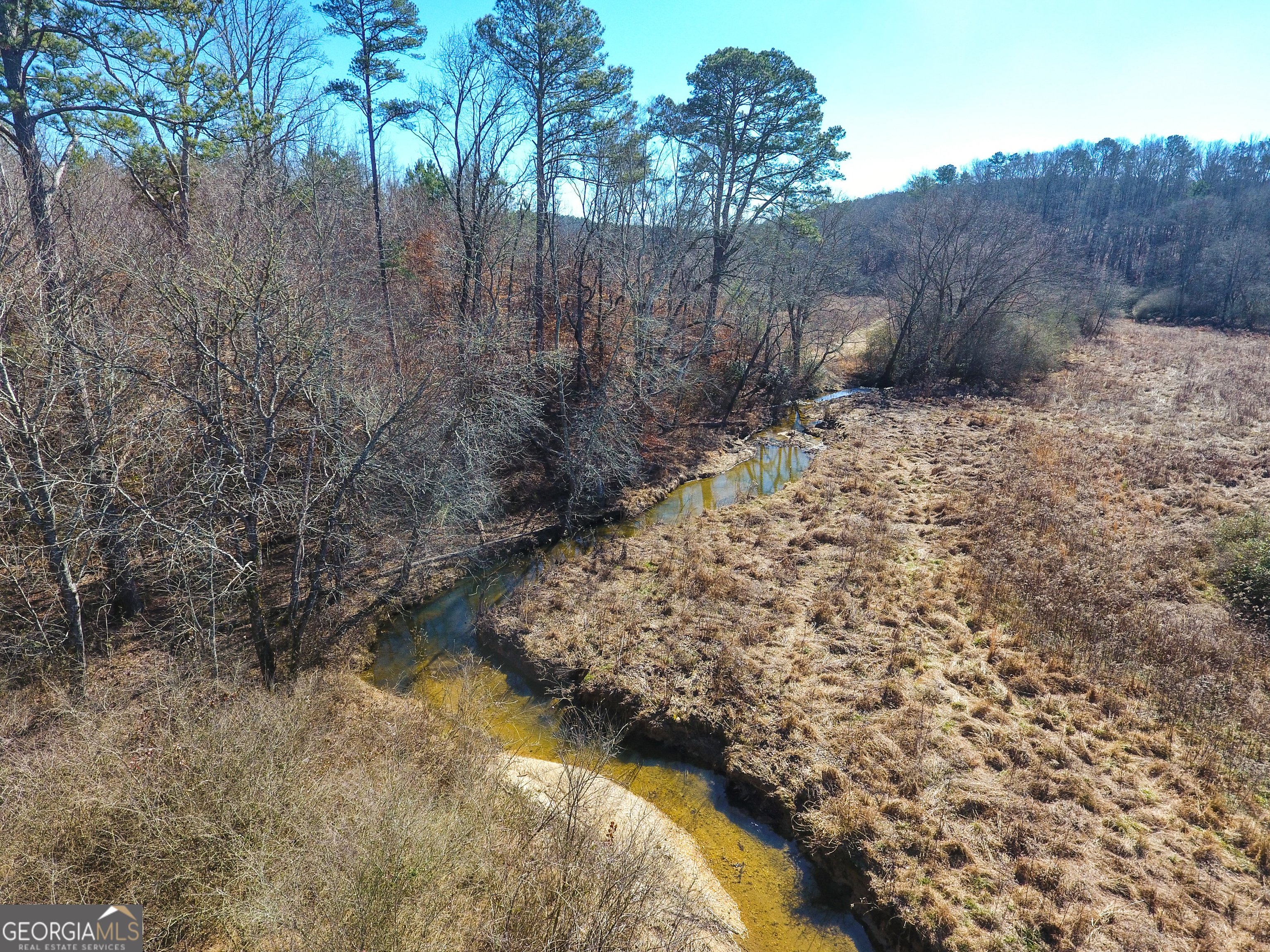 0 Wildcat Road Buchanan, GA 30113 - Photo 38 of 49 a view of a yard