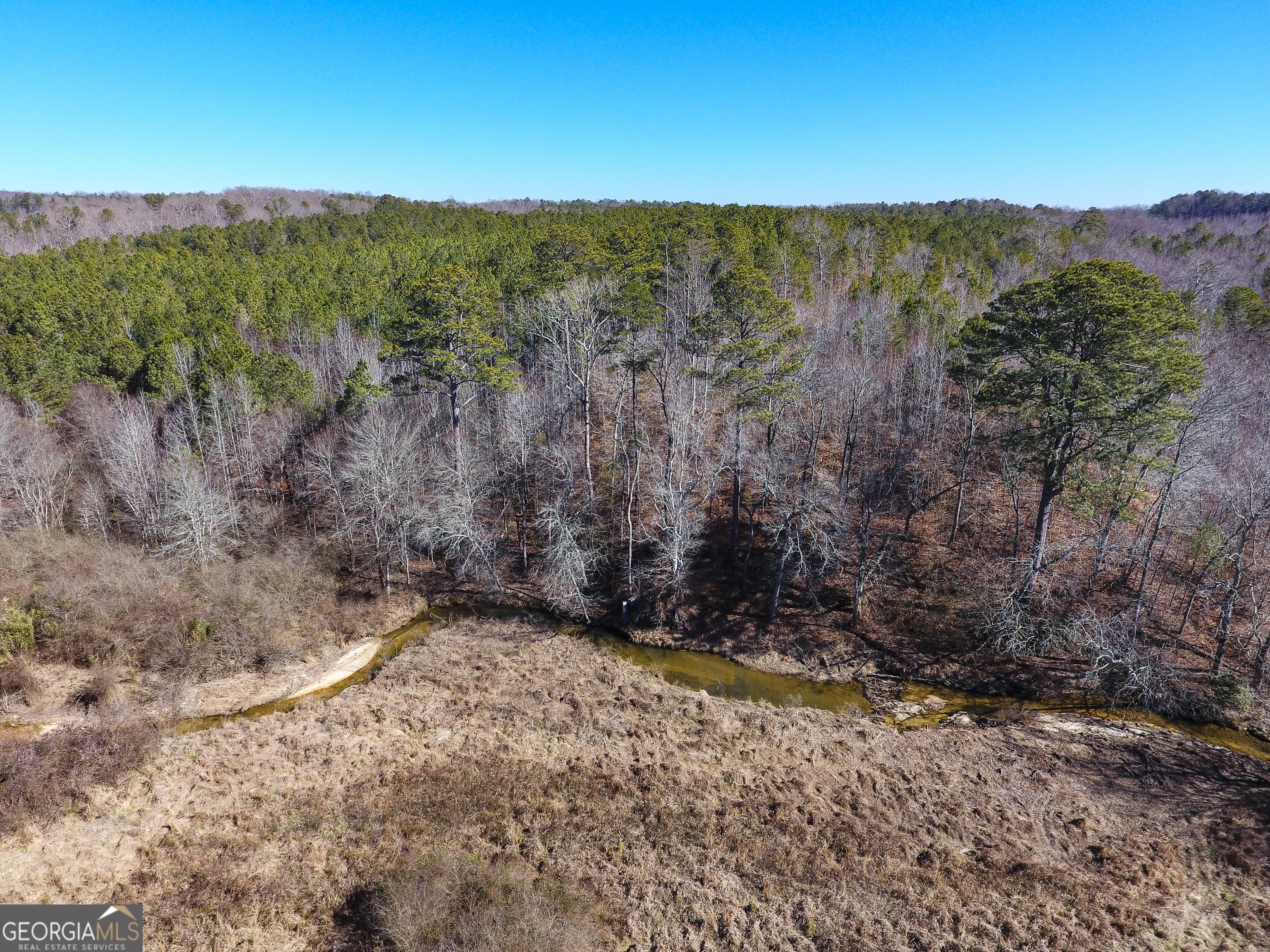 0 Wildcat Road Buchanan, GA 30113 - Photo 39 of 49 a view of a yard with a mountain