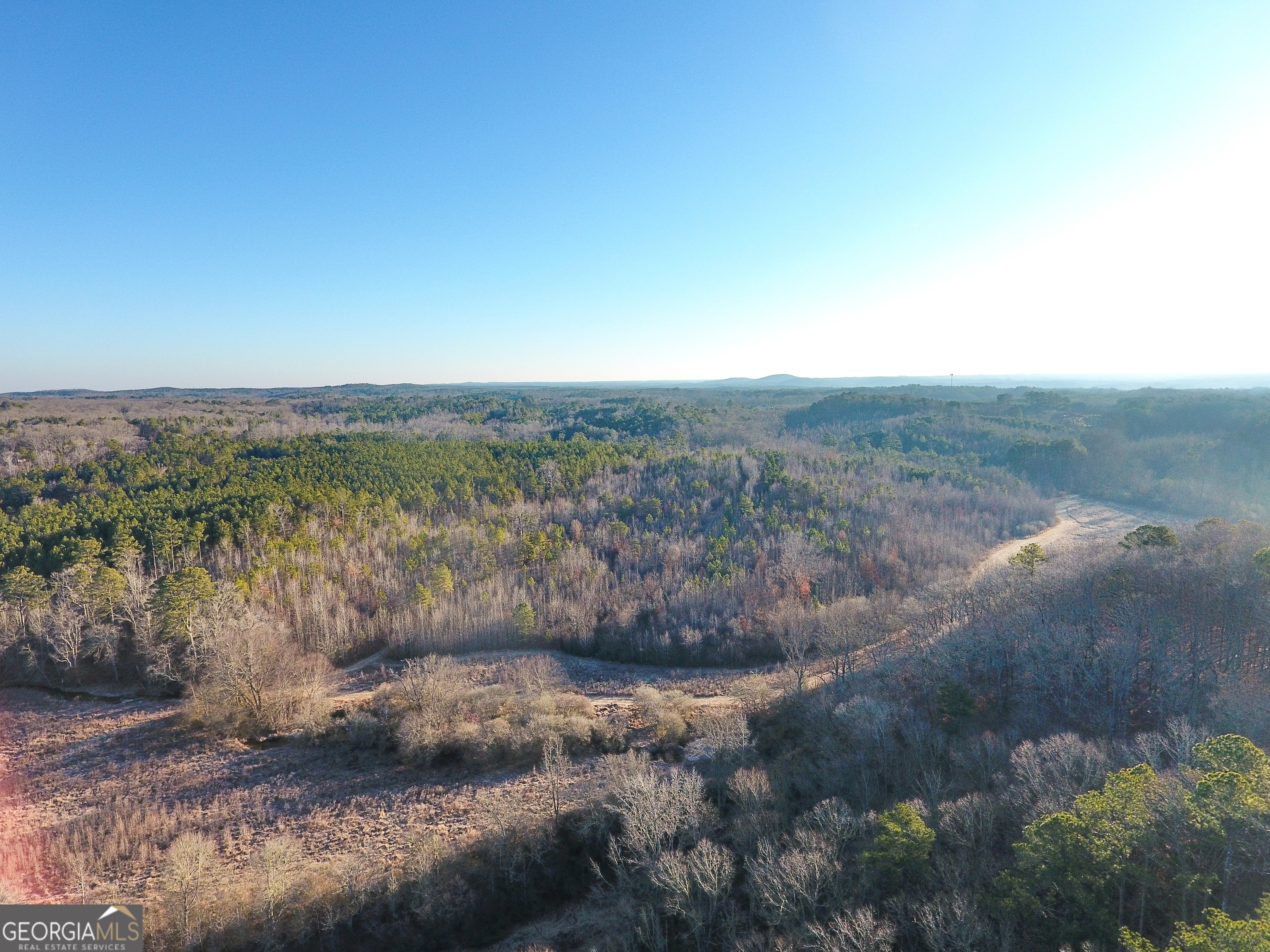 0 Wildcat Road Buchanan, GA 30113 - Photo 40 of 49 a view of a dry yard with trees