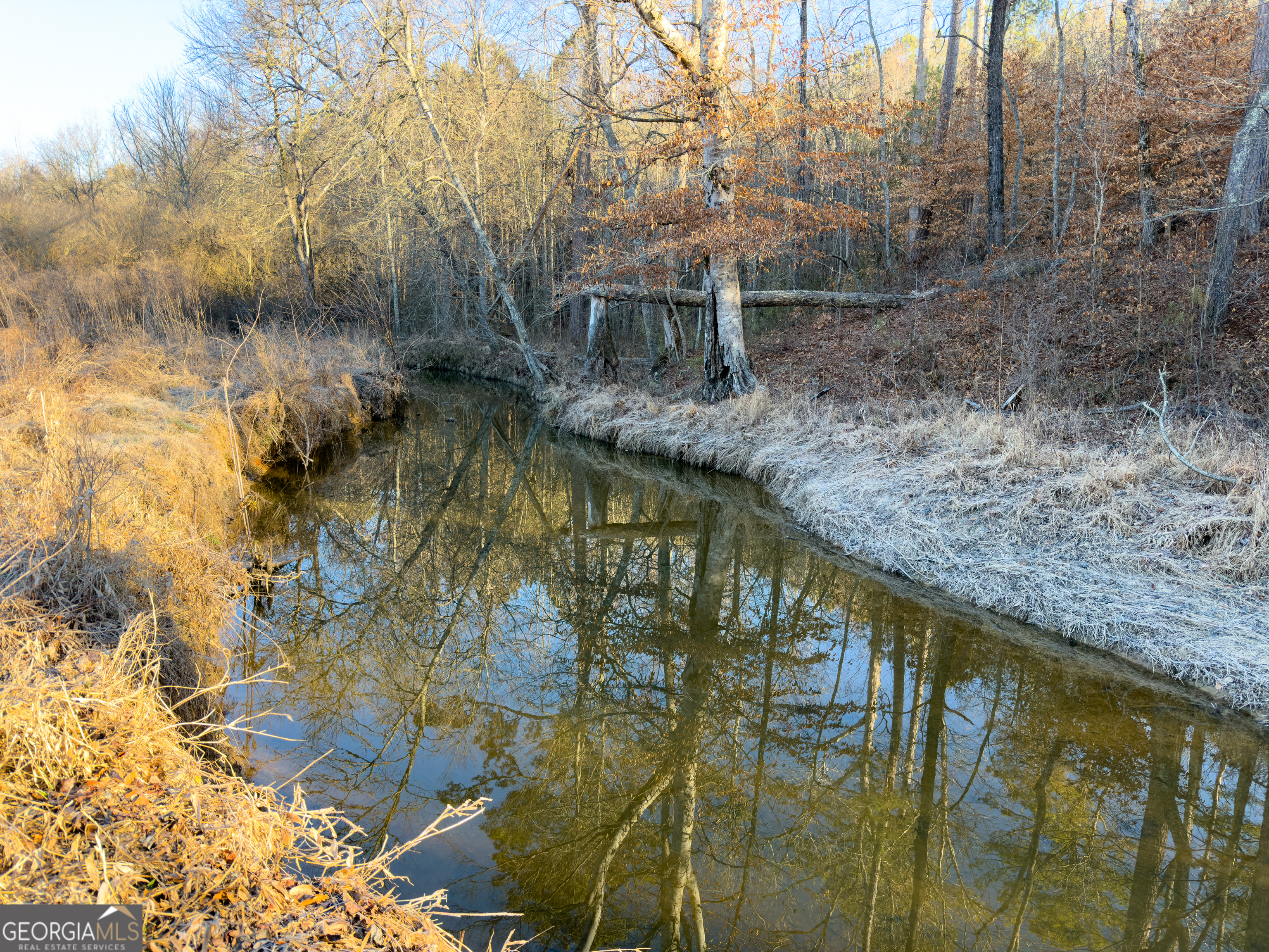 0 Wildcat Road Buchanan, GA 30113 - Photo 44 of 49 a view of swimming pool with an outdoor seating
