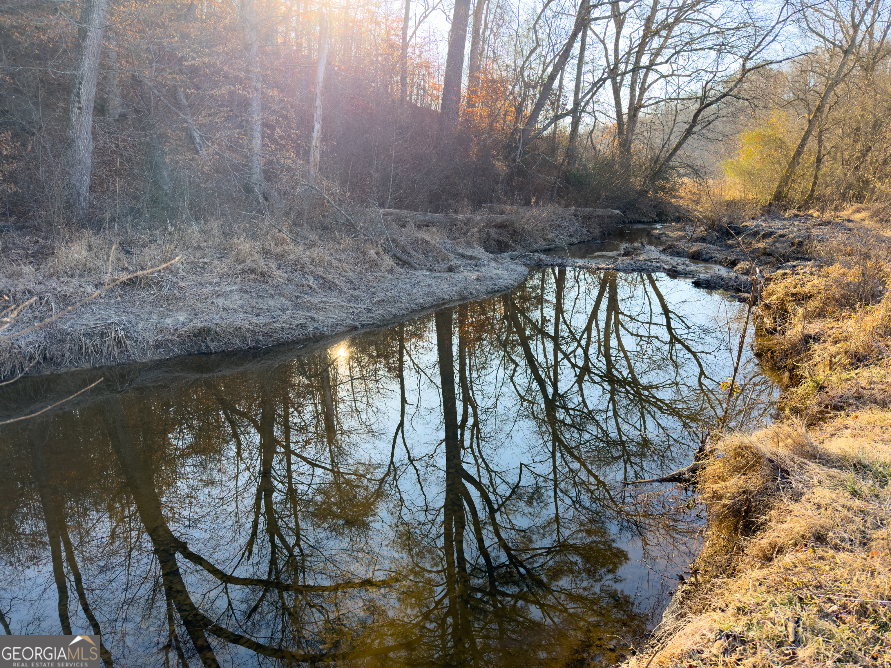 0 Wildcat Road Buchanan, GA 30113 - Photo 45 of 49 a view of swimming pool from balcony