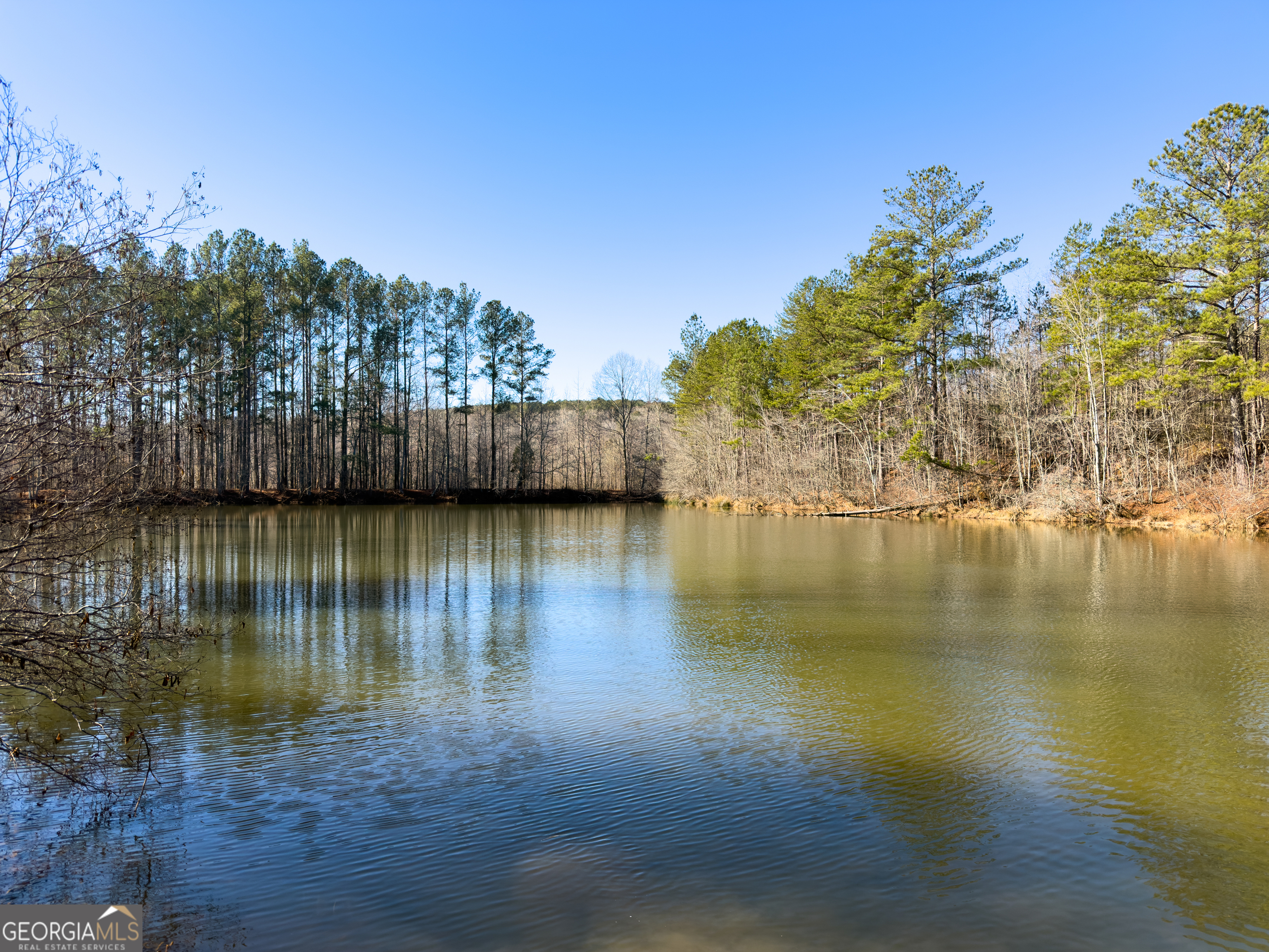 0 Wildcat Road Buchanan, GA 30113 - Photo 46 of 49 a view of lake with green space
