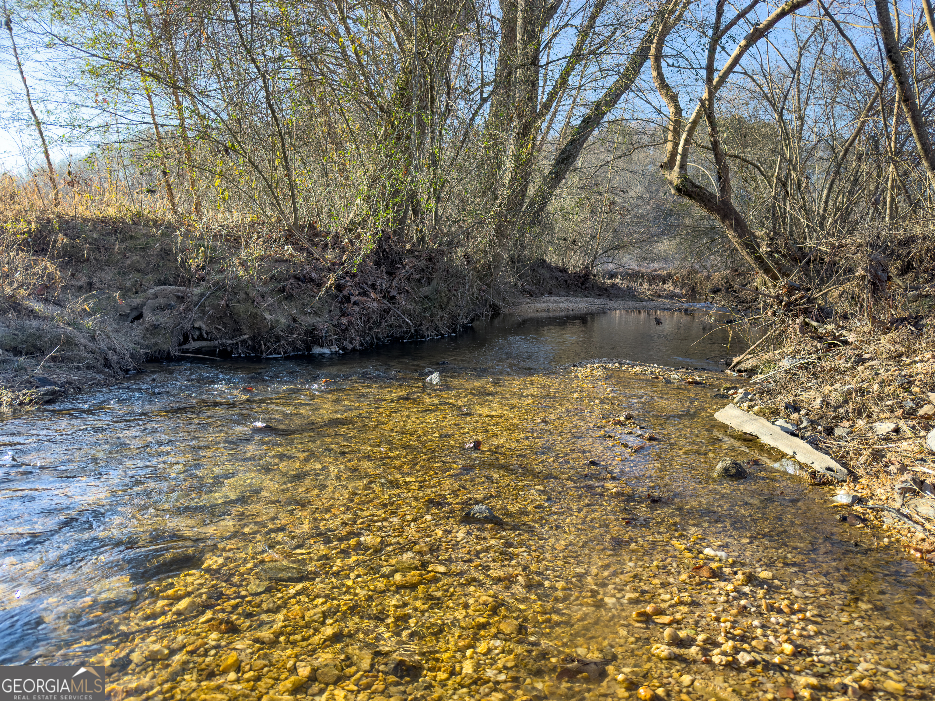 0 Wildcat Road Buchanan, GA 30113 - Photo 47 of 49 a view of a lake view
