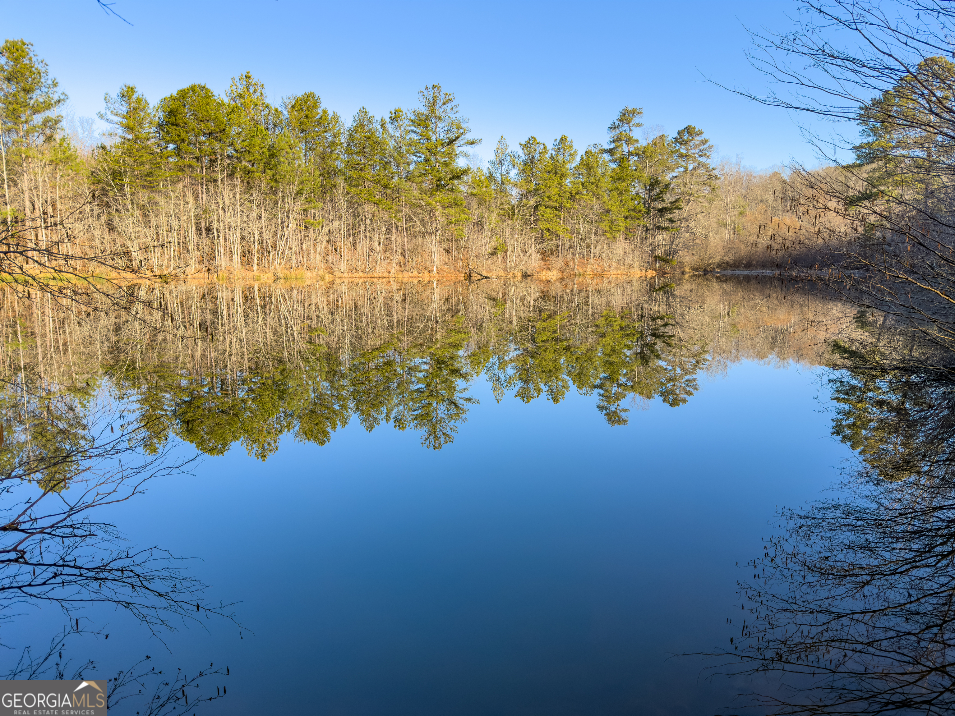 0 Wildcat Road Buchanan, GA 30113 - Photo 48 of 49 a view of lake with green space