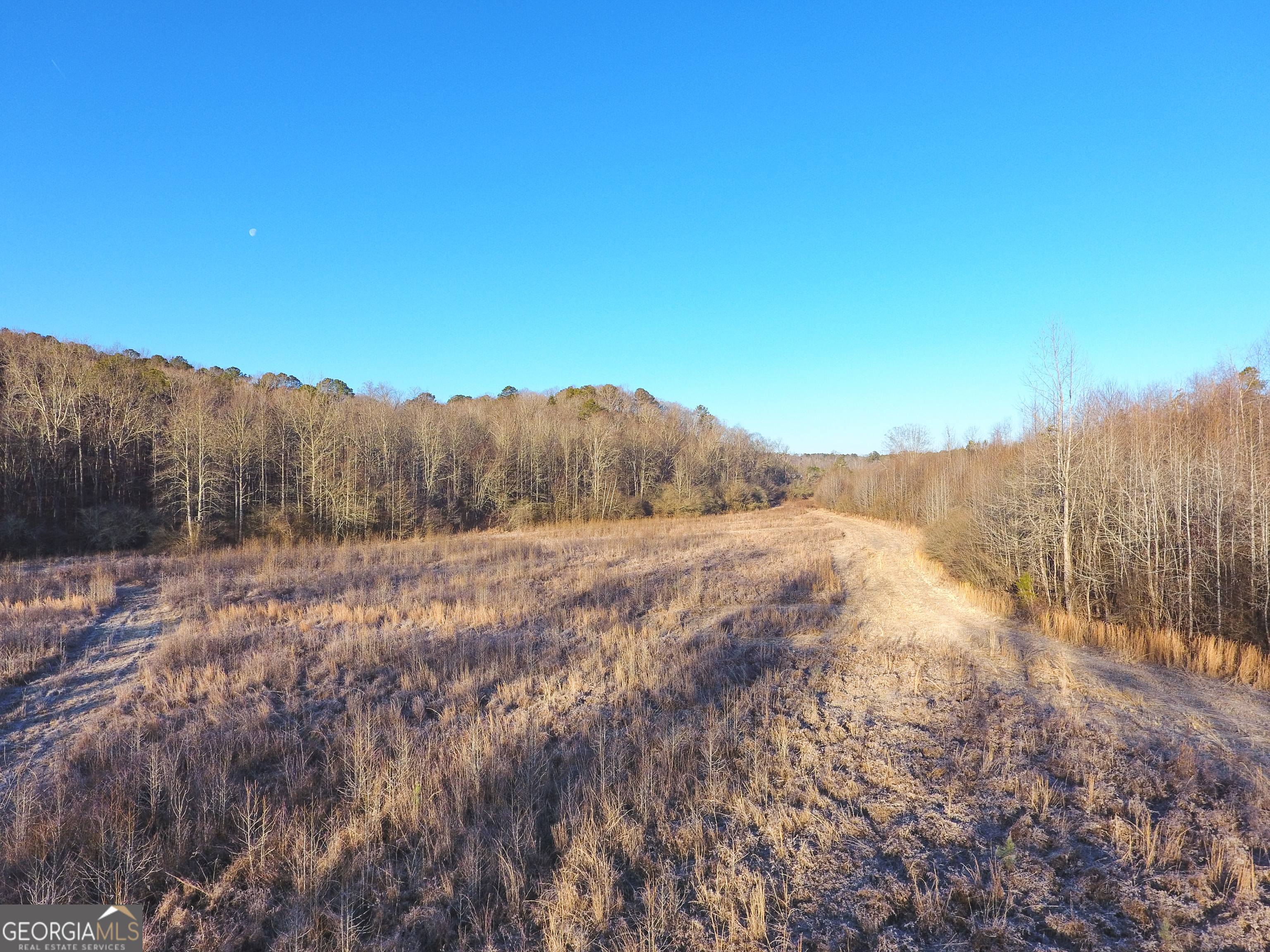 0 Wildcat Road Buchanan, GA 30113 - Photo 49 of 49 a view of a dry yard