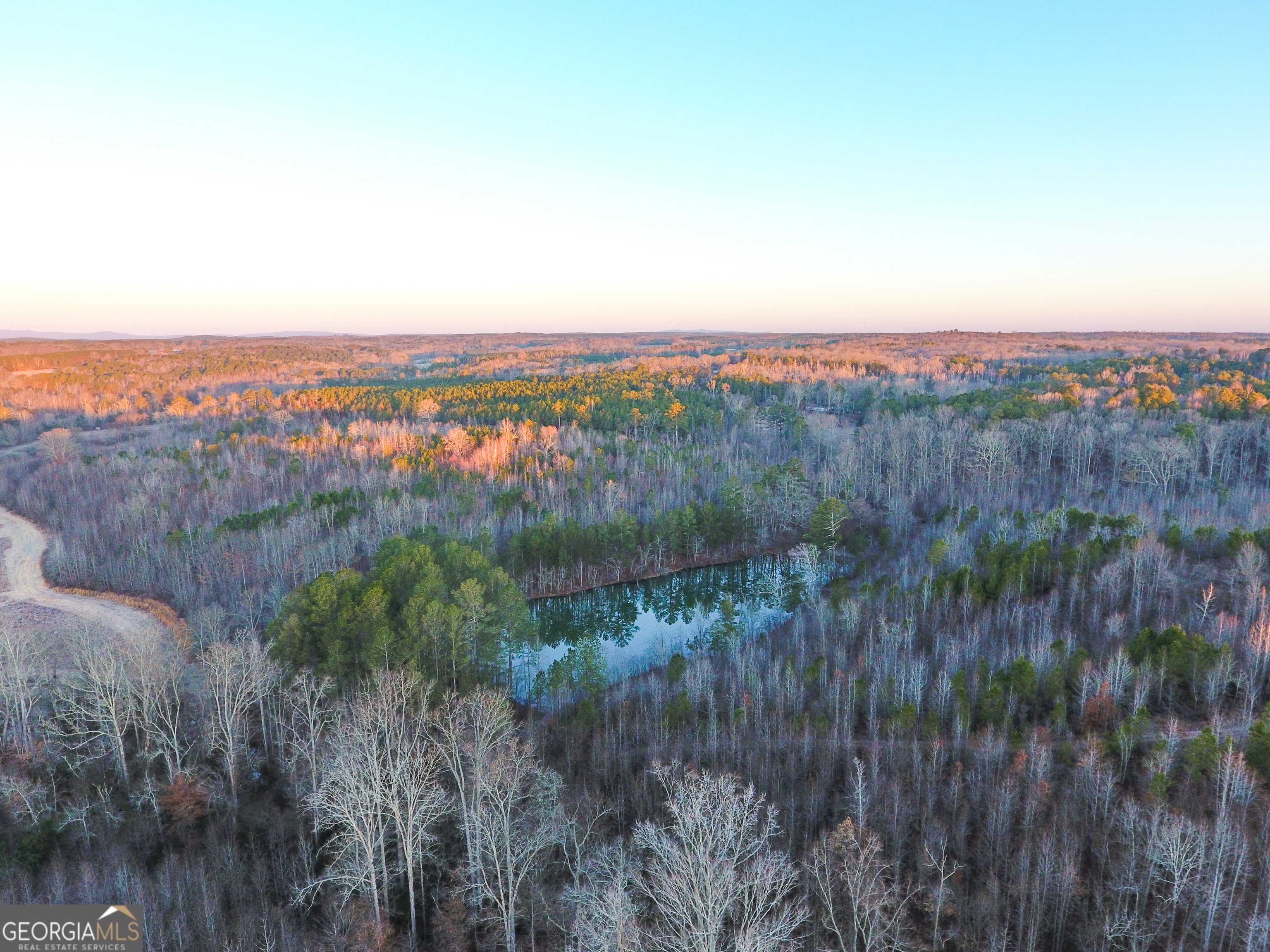 0 Wildcat Road Buchanan, GA 30113 - Photo 6 of 49 a view of a lush green forest with trees in the background