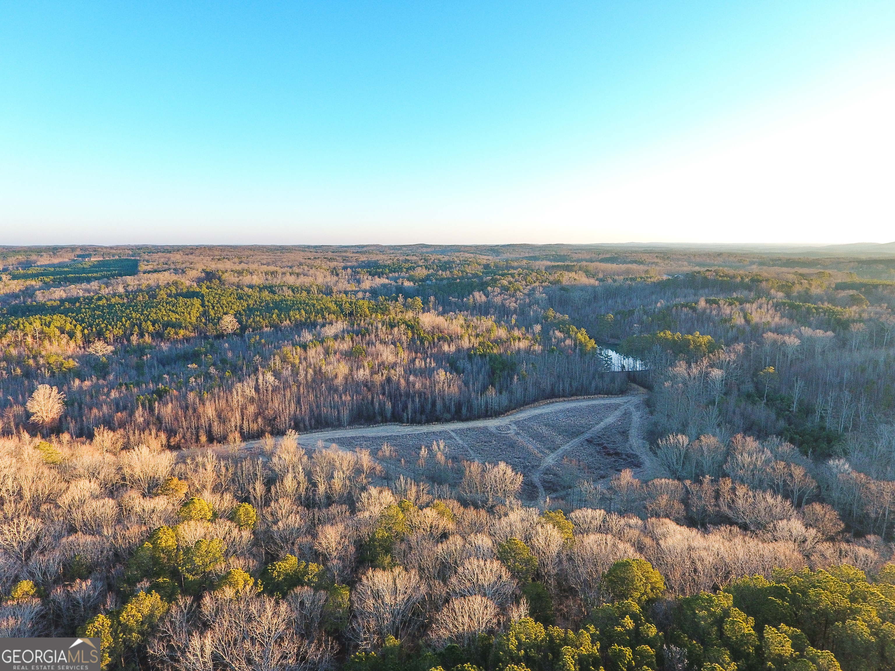 0 Wildcat Road Buchanan, GA 30113 - Photo 7 of 49 a view of lake and mountain