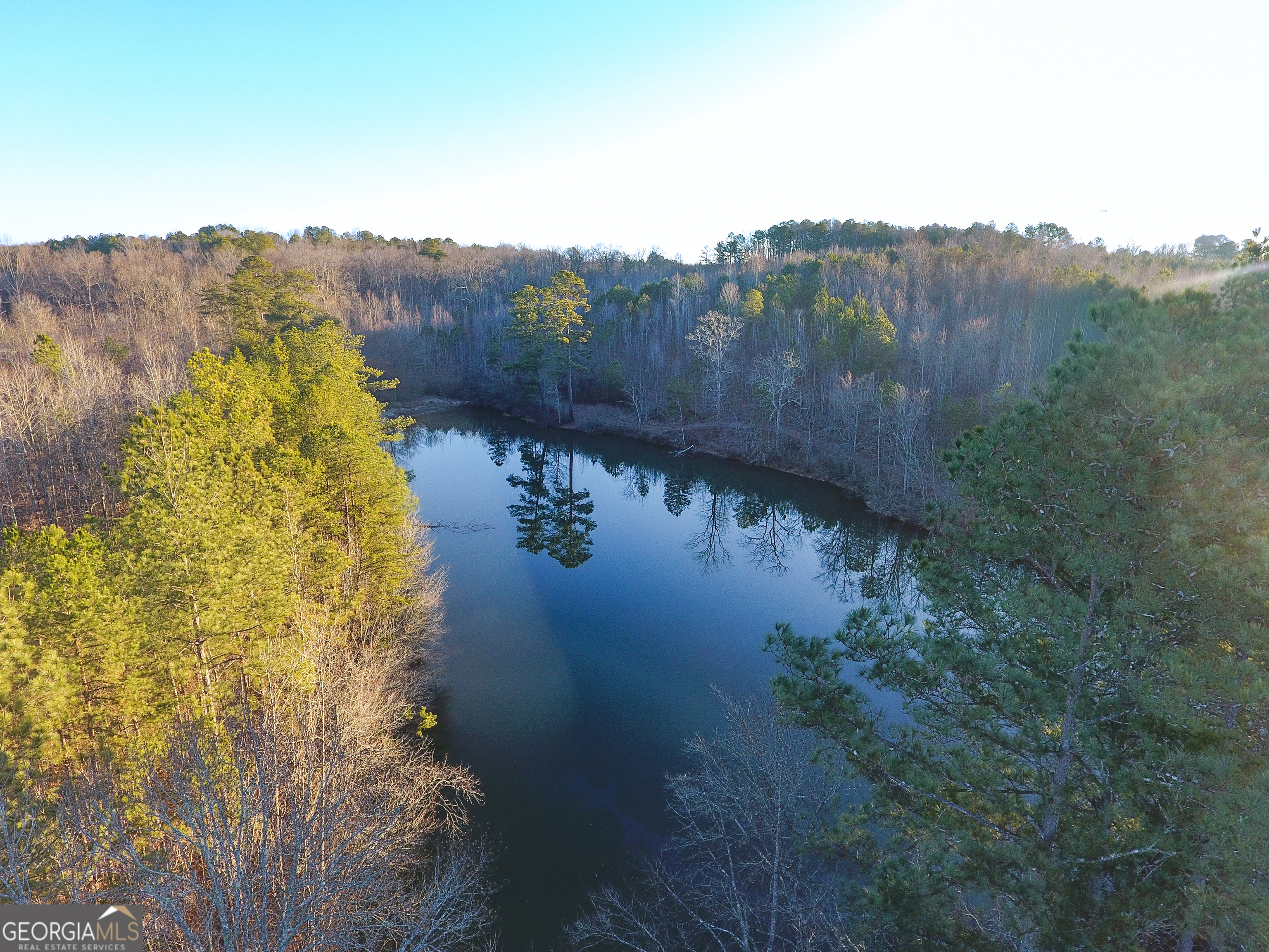 0 Wildcat Road Buchanan, GA 30113 - Photo 8 of 49 a view of a lake with a mountain in the background