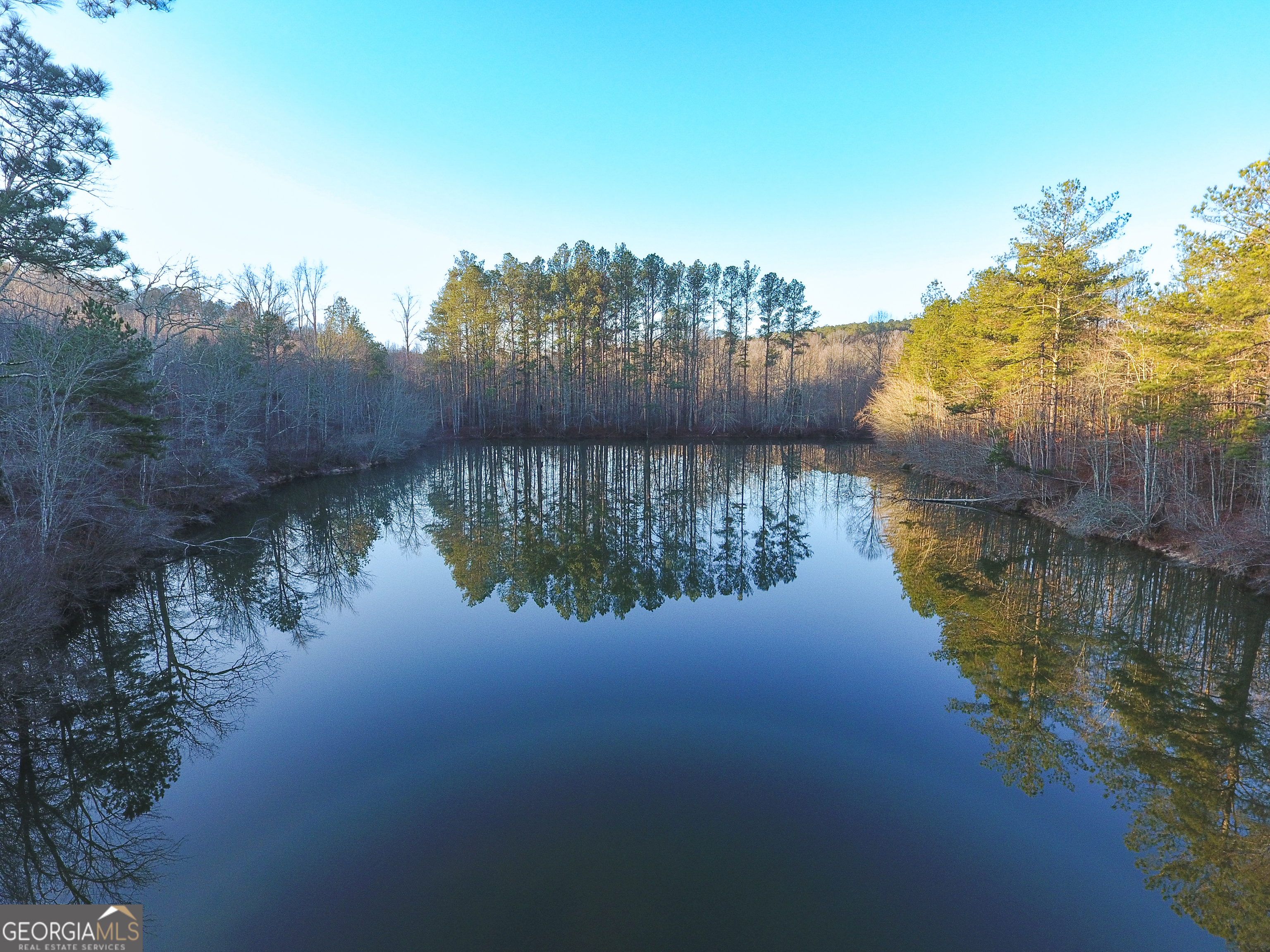 0 Wildcat Road Buchanan, GA 30113 - Photo 9 of 49 a view of a lake with houses in the back