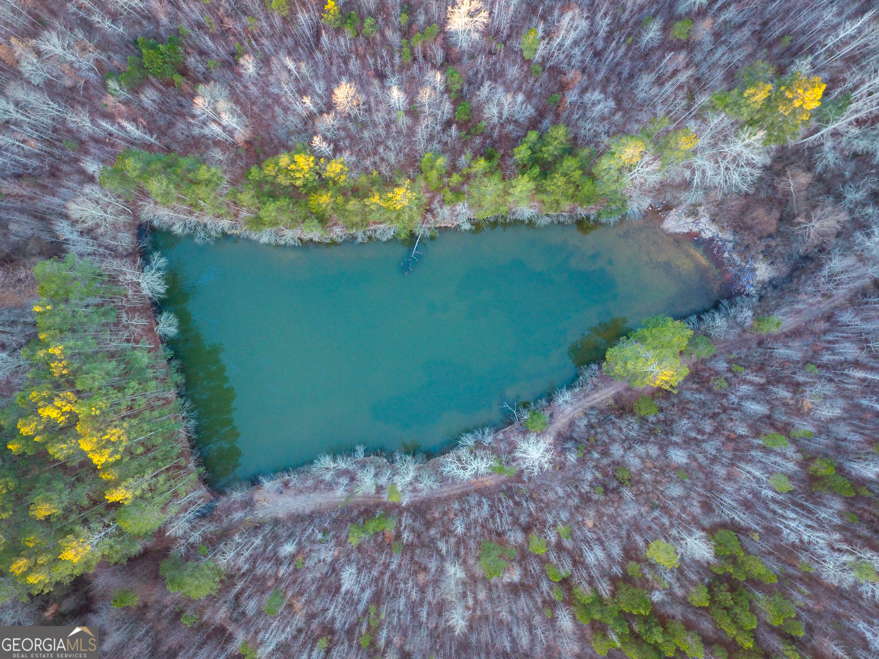 0 Wildcat Road Buchanan, GA 30113 - Photo 10 of 49 a backyard of a house with lots of green space