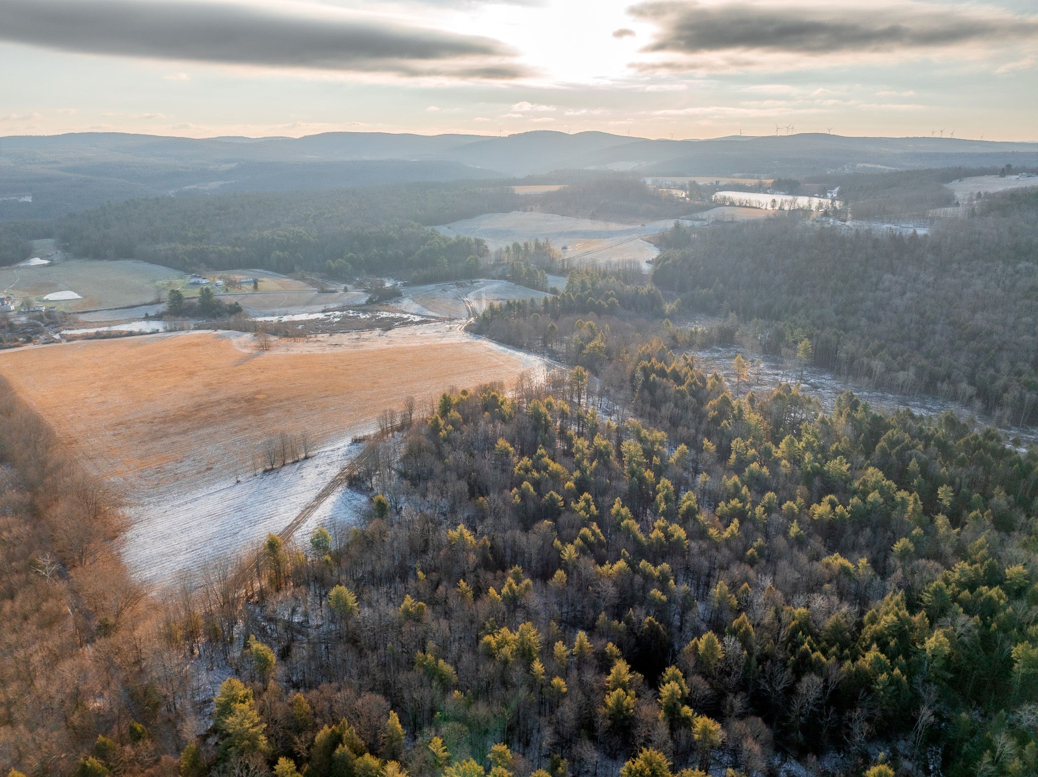 141 Bettsburgh Road Nineveh, NY 13813 - Photo 12 of 18