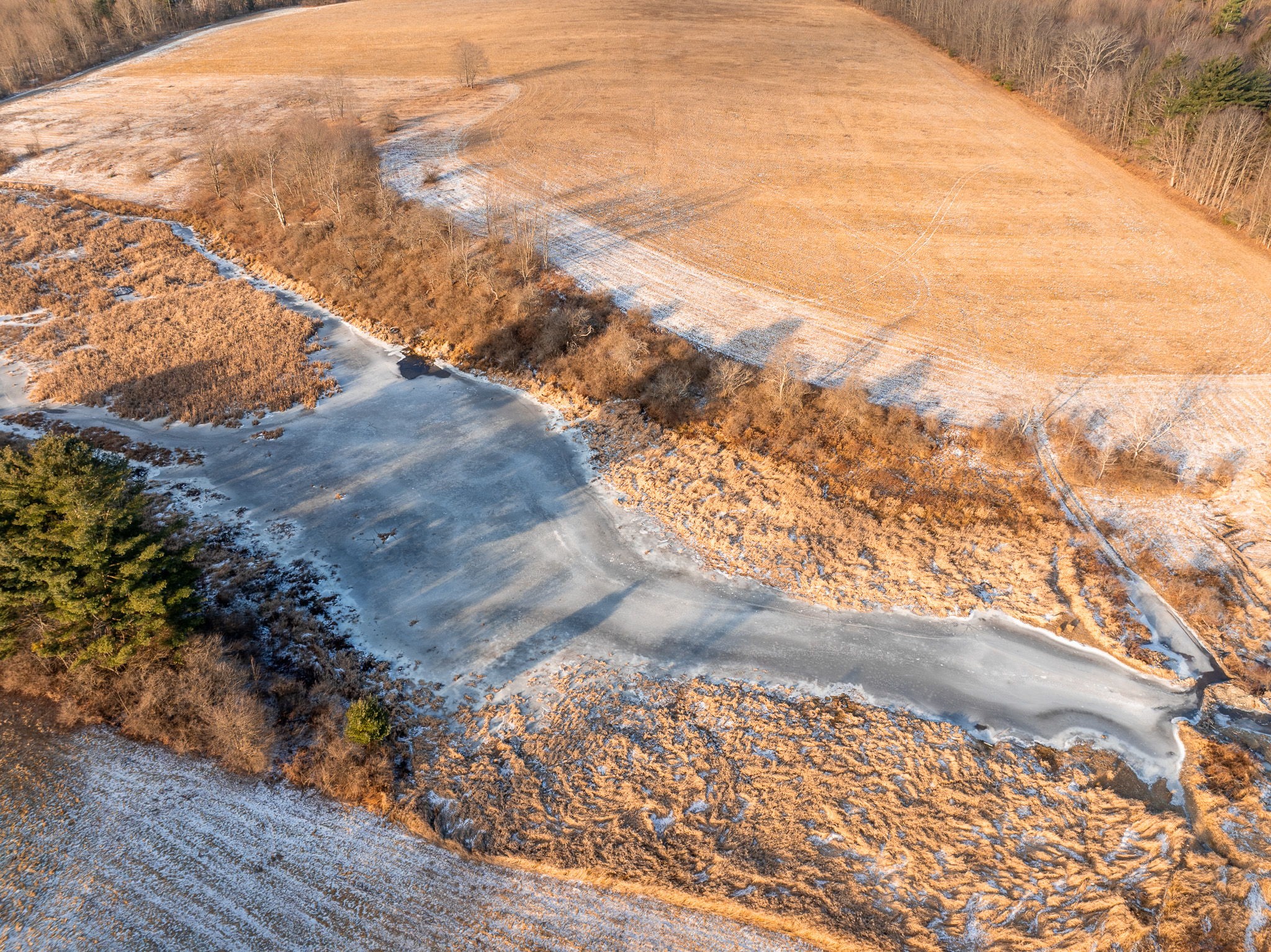 141 Bettsburgh Road Nineveh, NY 13813 - Photo 5 of 18