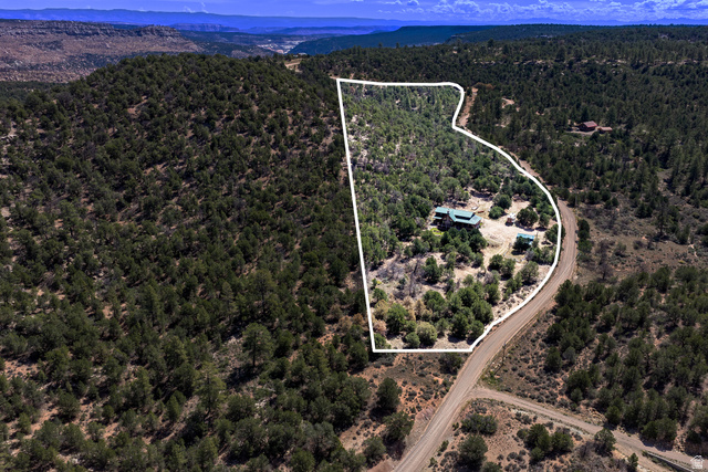 75 Wray Mesa Road La Sal, UT 84530 - Photo 8 of 59 Expansive wooded lot featuring multiple structures and a private access road