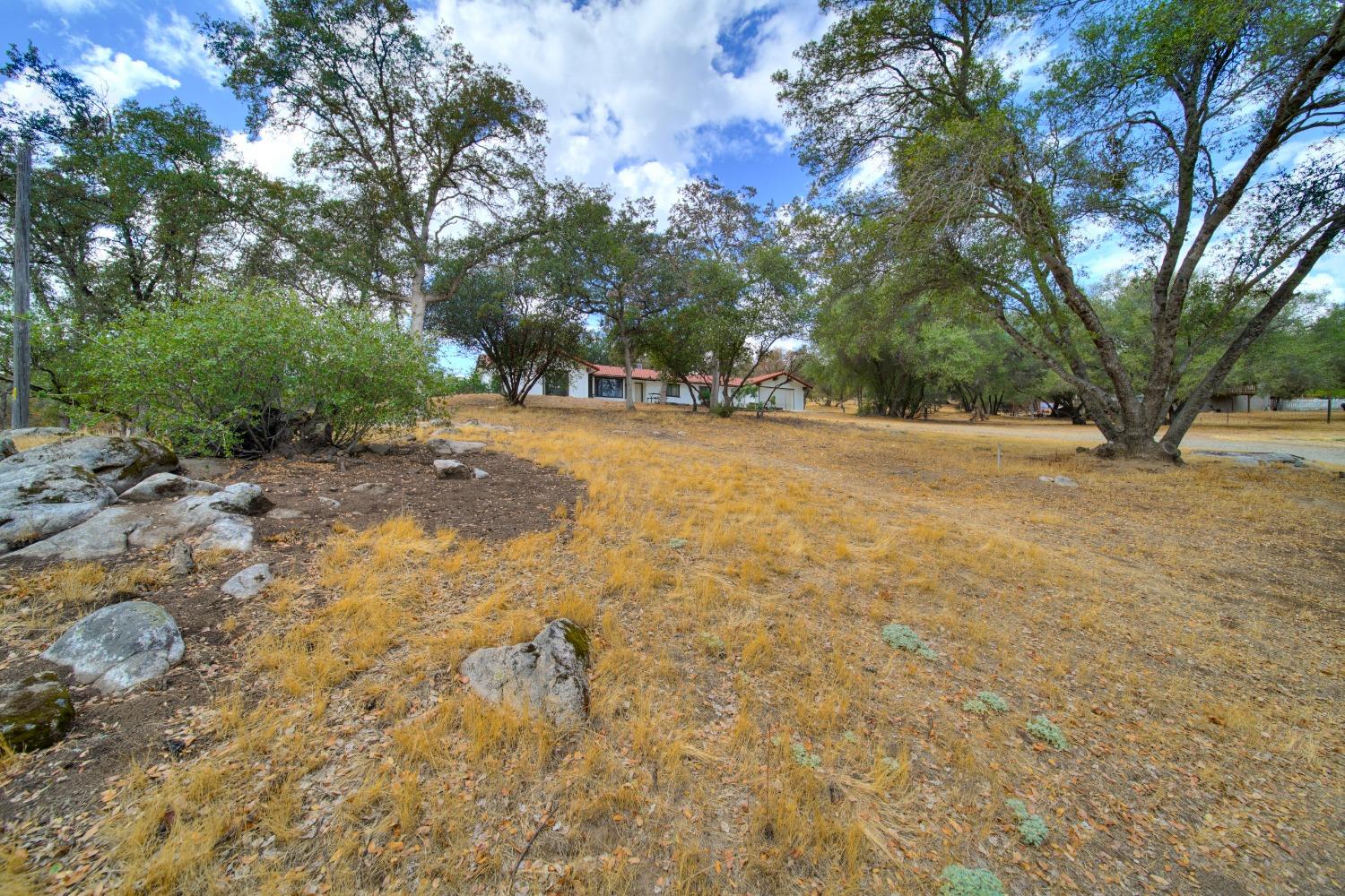 44679 Savage Road Coarsegold, CA 93614 - Photo 1 of 76 Gallery Image 1