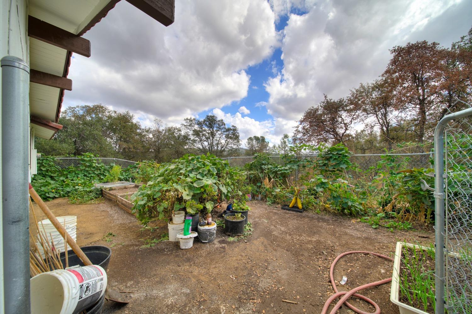 44679 Savage Road Coarsegold, CA 93614 - Photo 34 of 76 Gallery Image 34