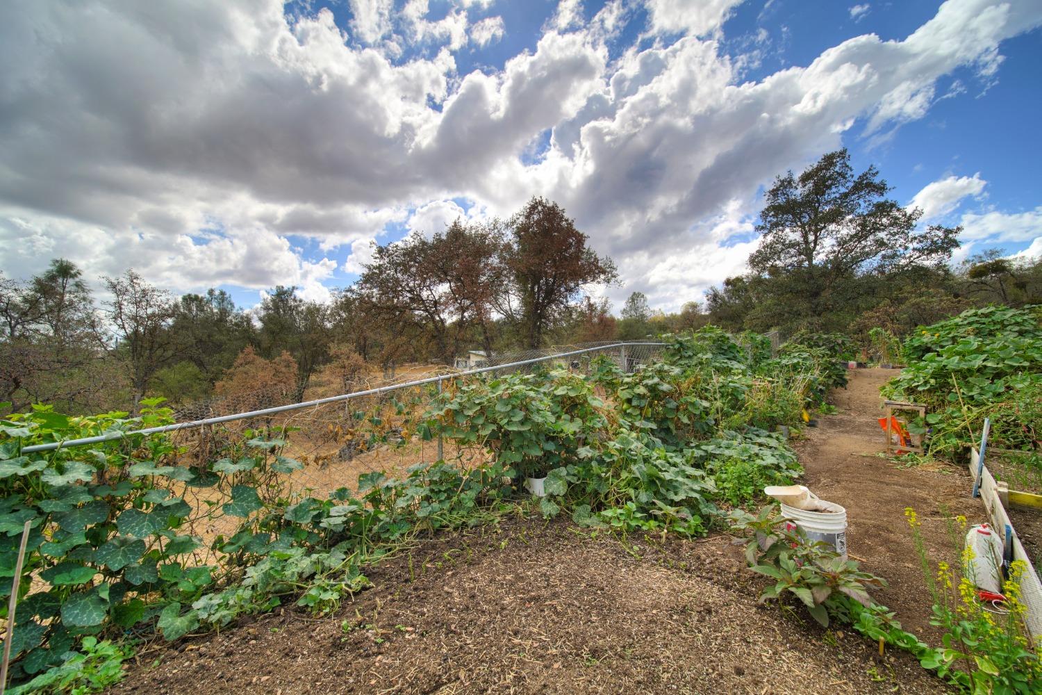 44679 Savage Road Coarsegold, CA 93614 - Photo 36 of 76 Gallery Image 36