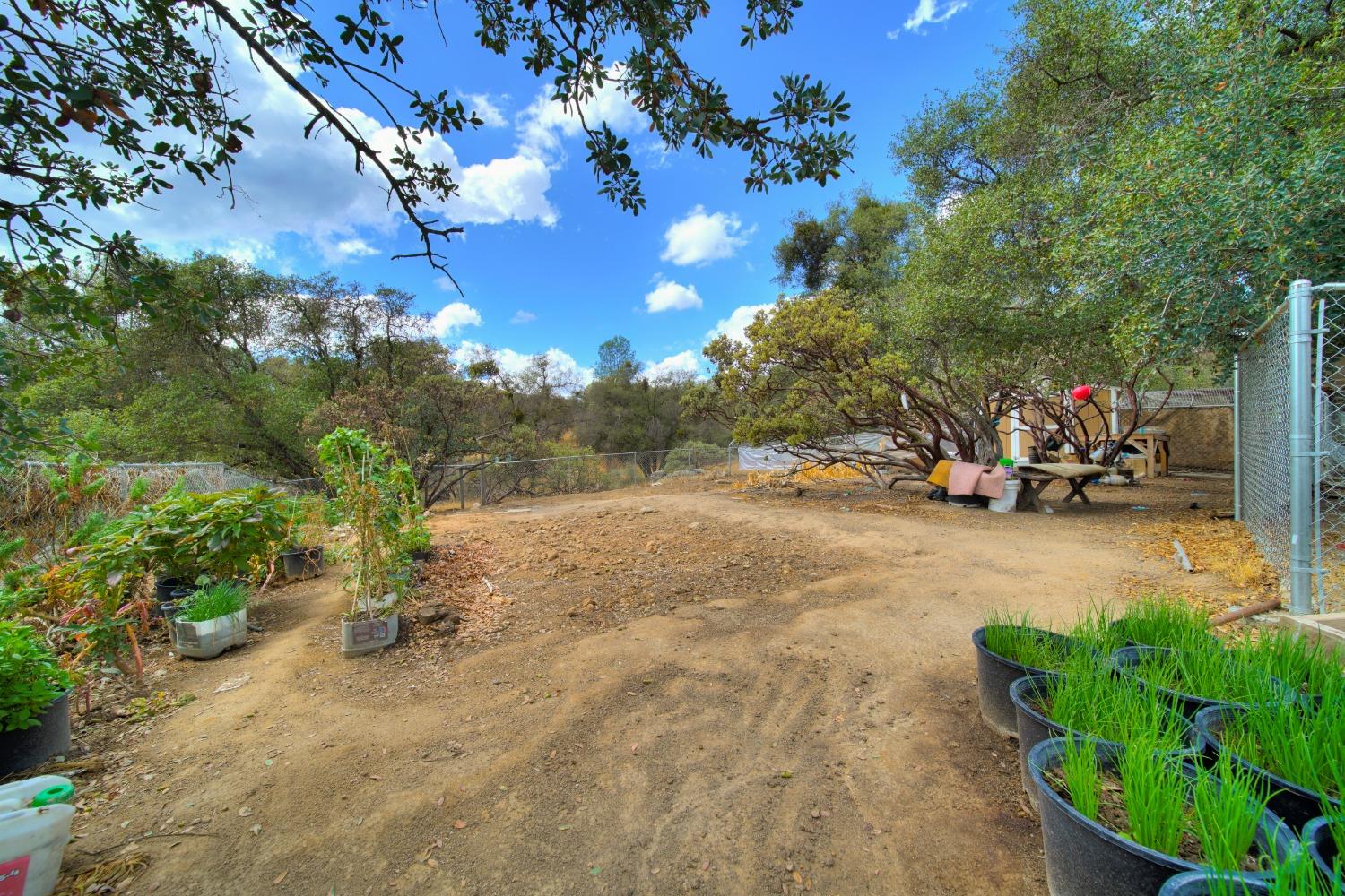 44679 Savage Road Coarsegold, CA 93614 - Photo 37 of 76 Gallery Image 37