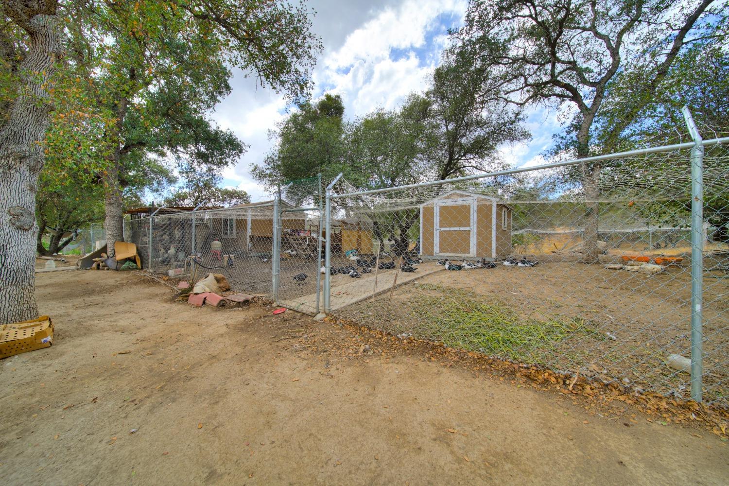 44679 Savage Road Coarsegold, CA 93614 - Photo 41 of 76 Gallery Image 41