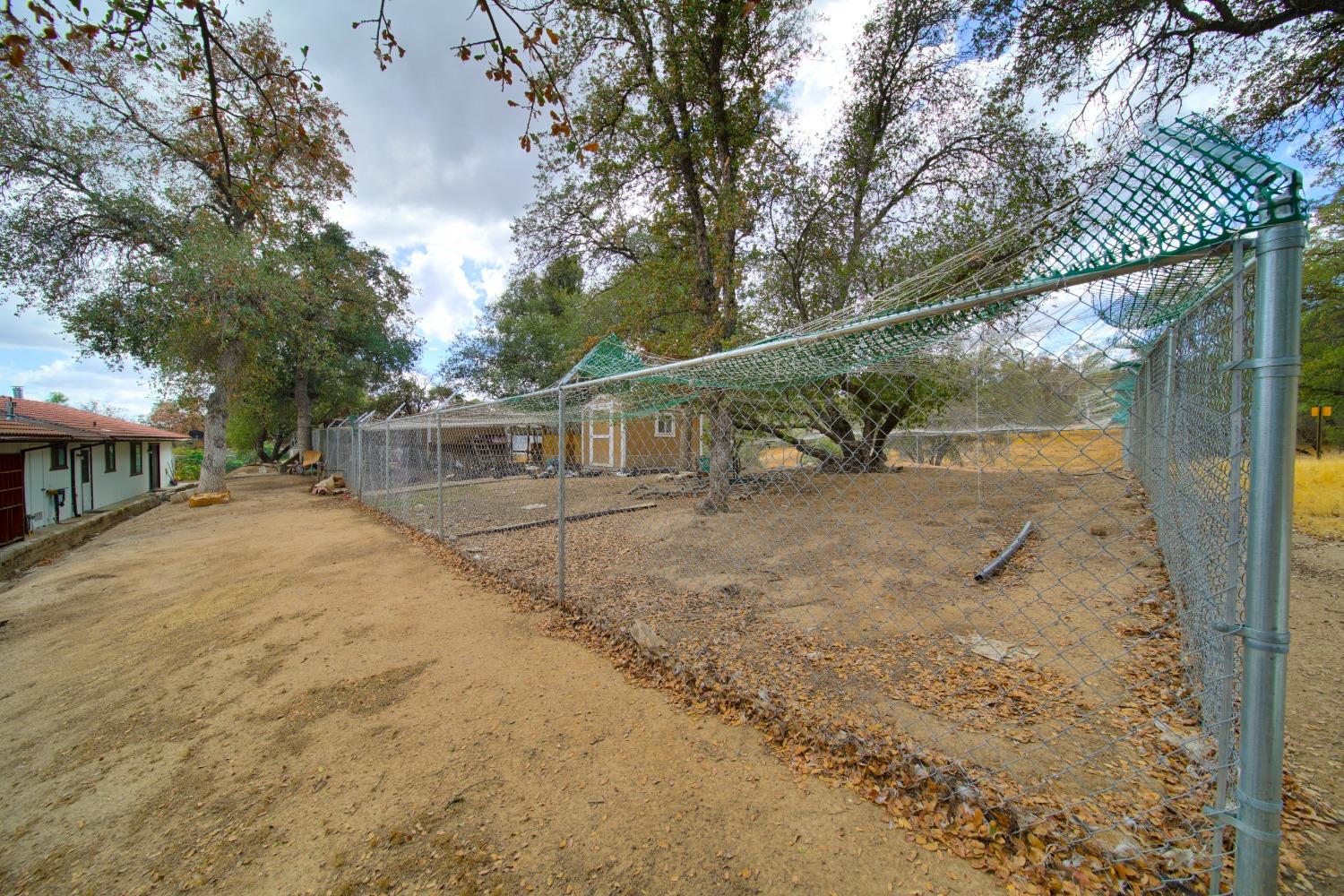 44679 Savage Road Coarsegold, CA 93614 - Photo 42 of 76 Gallery Image 42