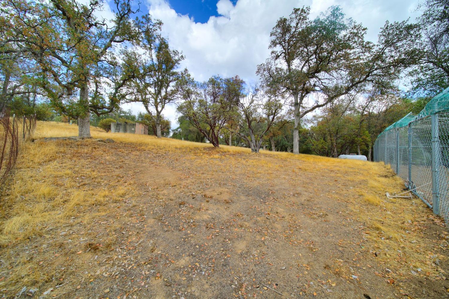 44679 Savage Road Coarsegold, CA 93614 - Photo 43 of 76 Gallery Image 43
