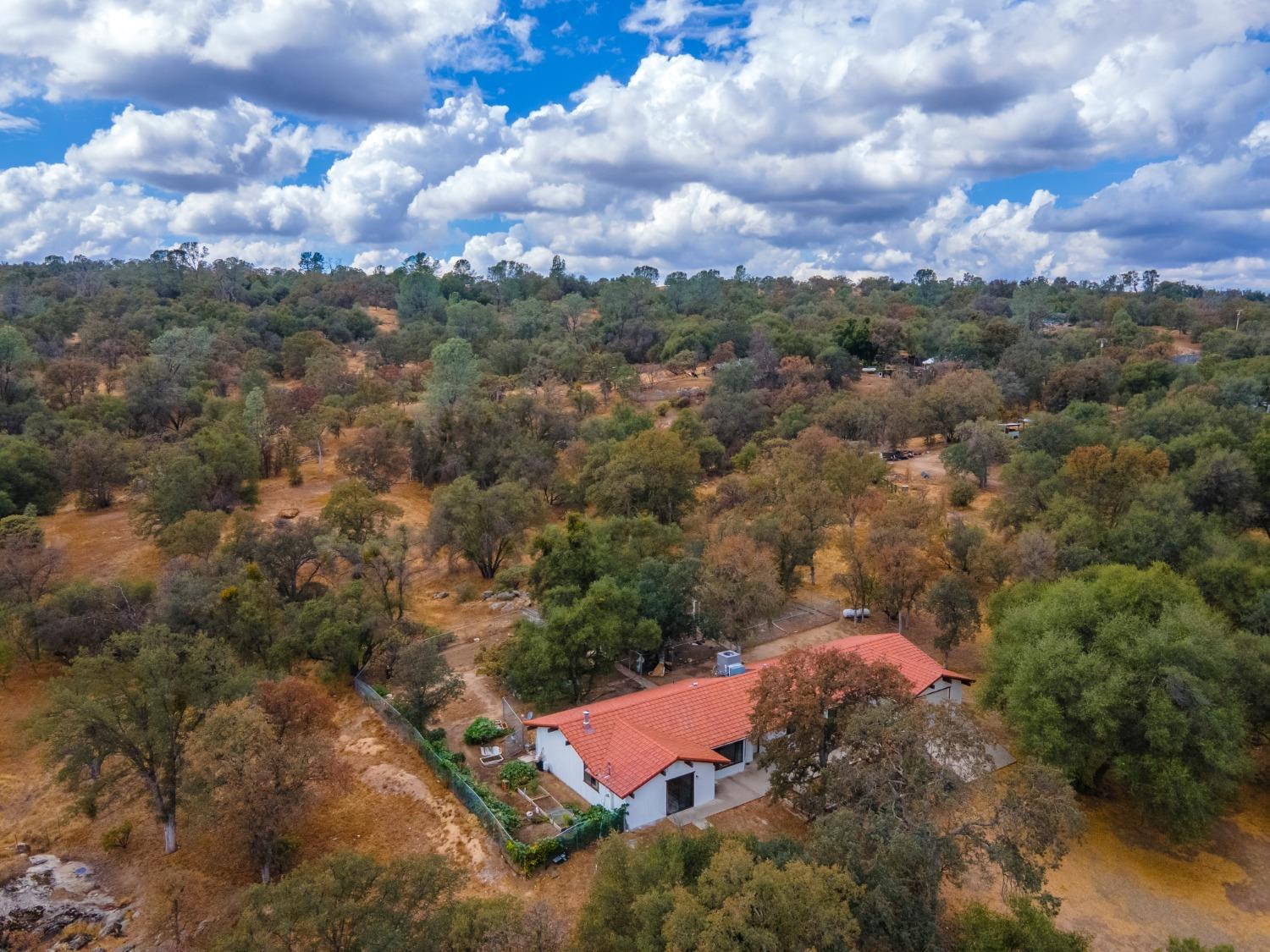44679 Savage Road Coarsegold, CA 93614 - Photo 49 of 76 Gallery Image 49