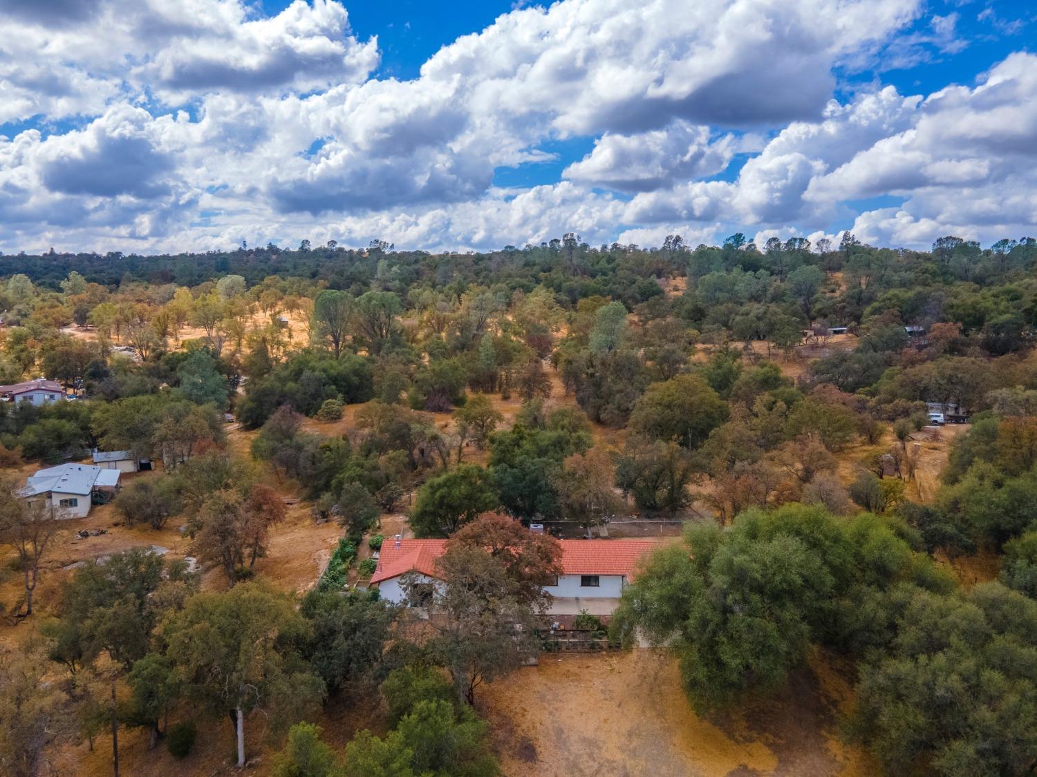 44679 Savage Road Coarsegold, CA 93614 - Photo 50 of 76 Gallery Image 50