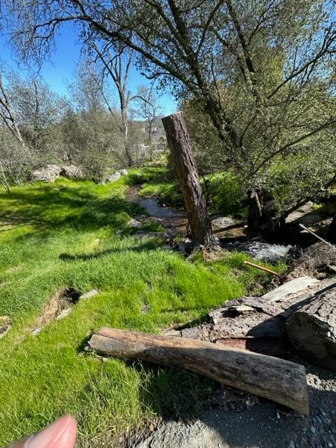 44679 Savage Road Coarsegold, CA 93614 - Photo 68 of 76 Gallery Image 68