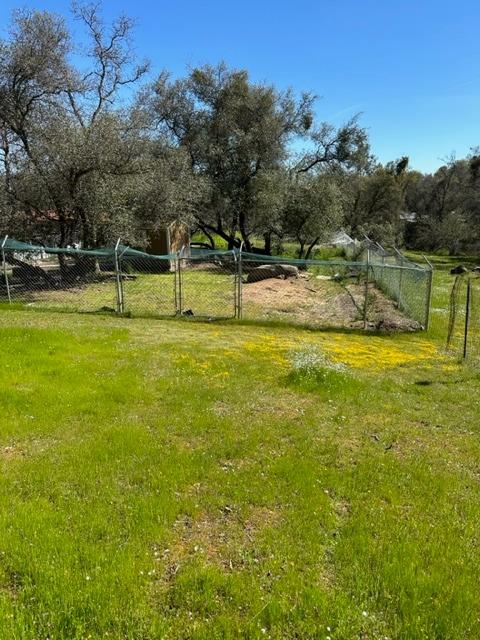 44679 Savage Road Coarsegold, CA 93614 - Photo 69 of 76 Gallery Image 69