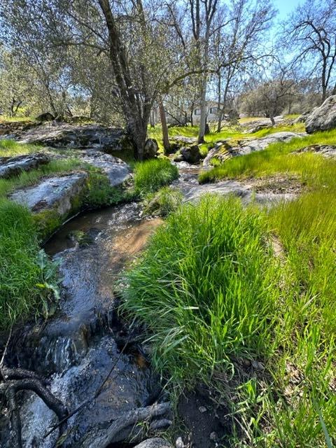 44679 Savage Road Coarsegold, CA 93614 - Photo 73 of 76 Gallery Image 73