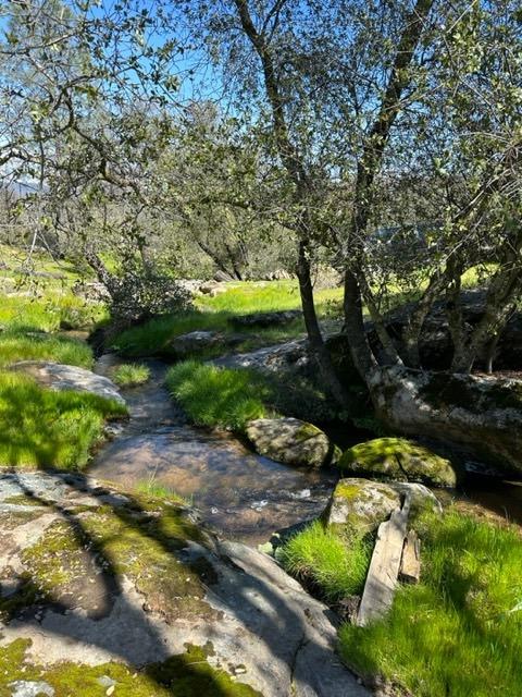 44679 Savage Road Coarsegold, CA 93614 - Photo 74 of 76 Gallery Image 74