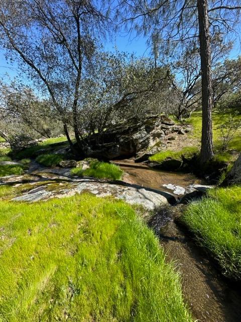 44679 Savage Road Coarsegold, CA 93614 - Photo 75 of 76 Gallery Image 75